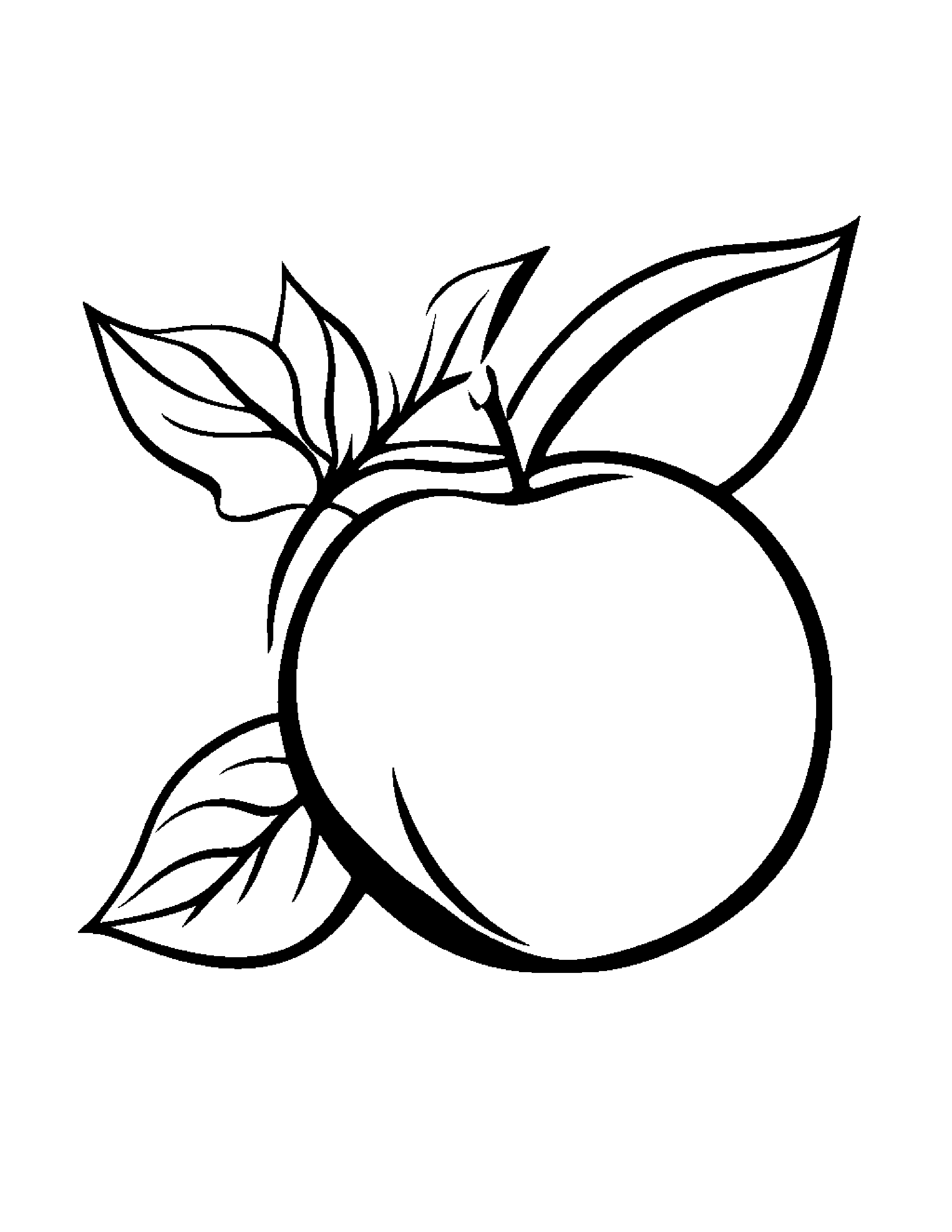 Peach With A Leaf Sprig #2 Coloring Page (Free Printable PDF)