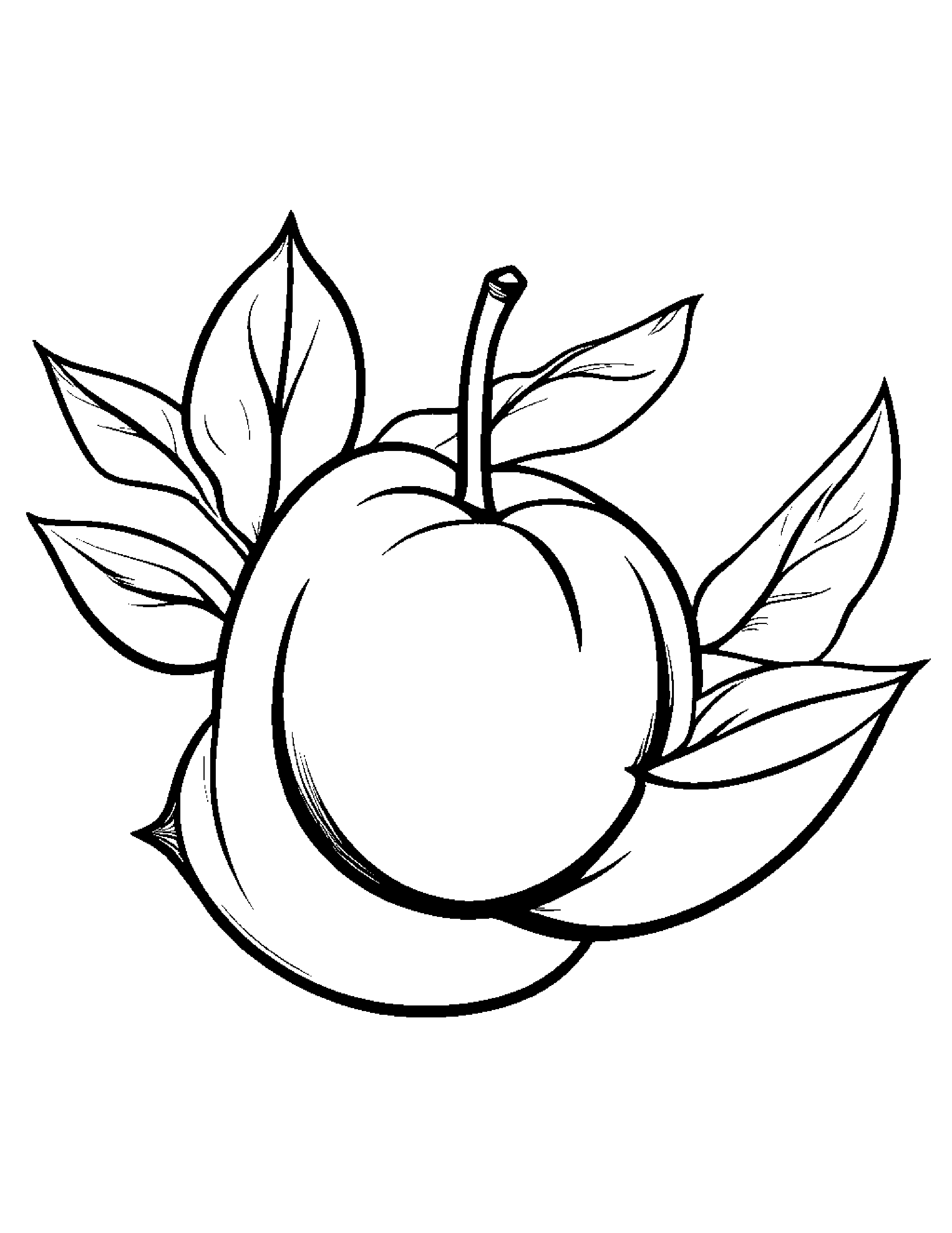Peach With A Leaf Sprig #3 Coloring Page (Free Printable PDF)