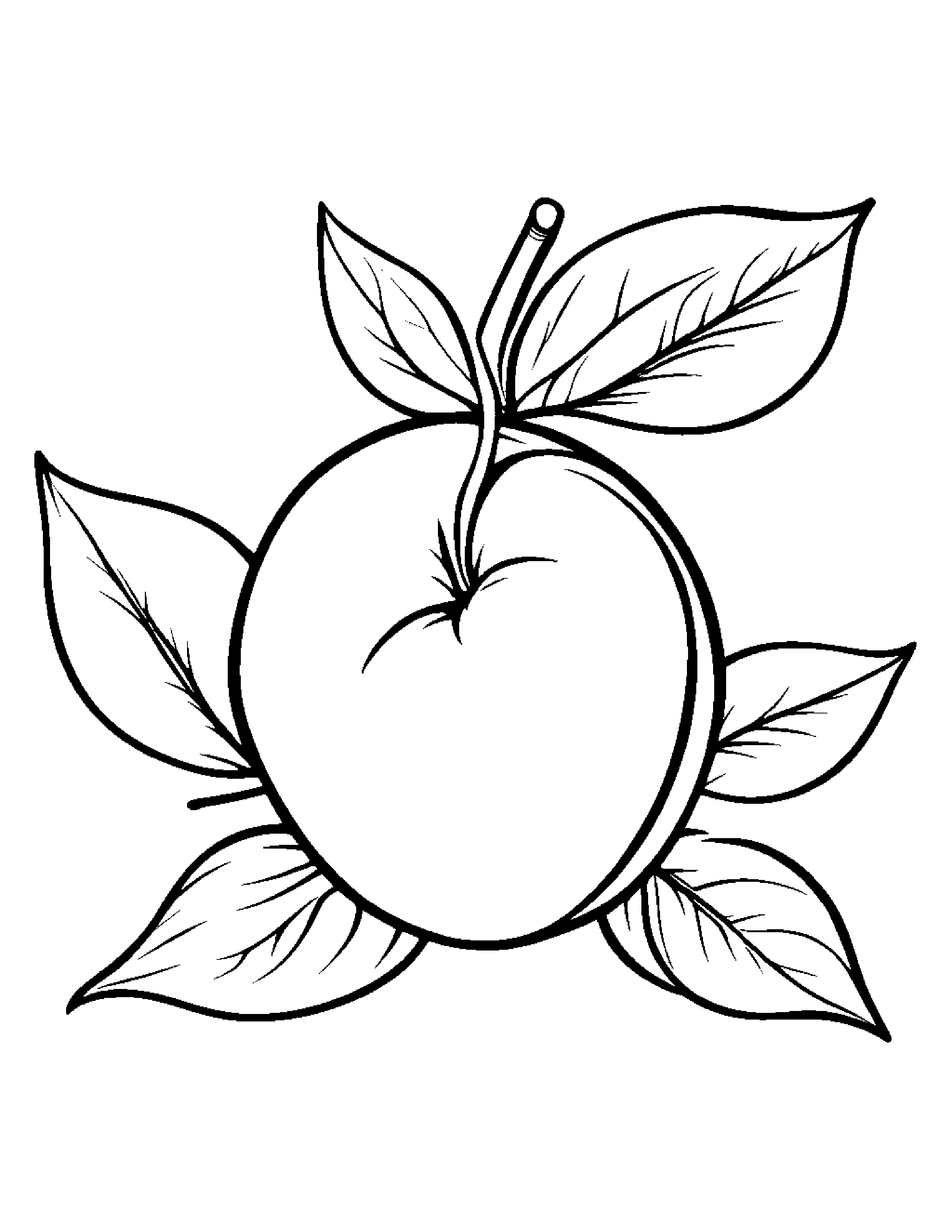 Peach With A Leaf Sprig #4 Coloring Page (Free Printable PDF)