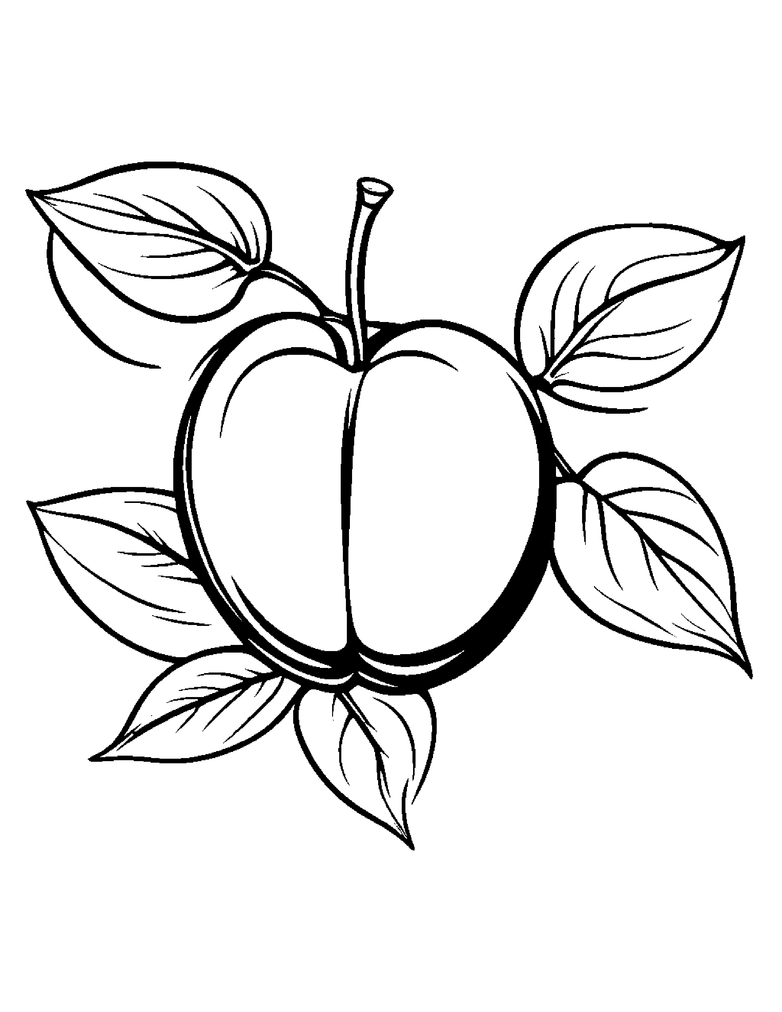 Peach With A Leaf Sprig #5 Coloring Page (Free Printable PDF)