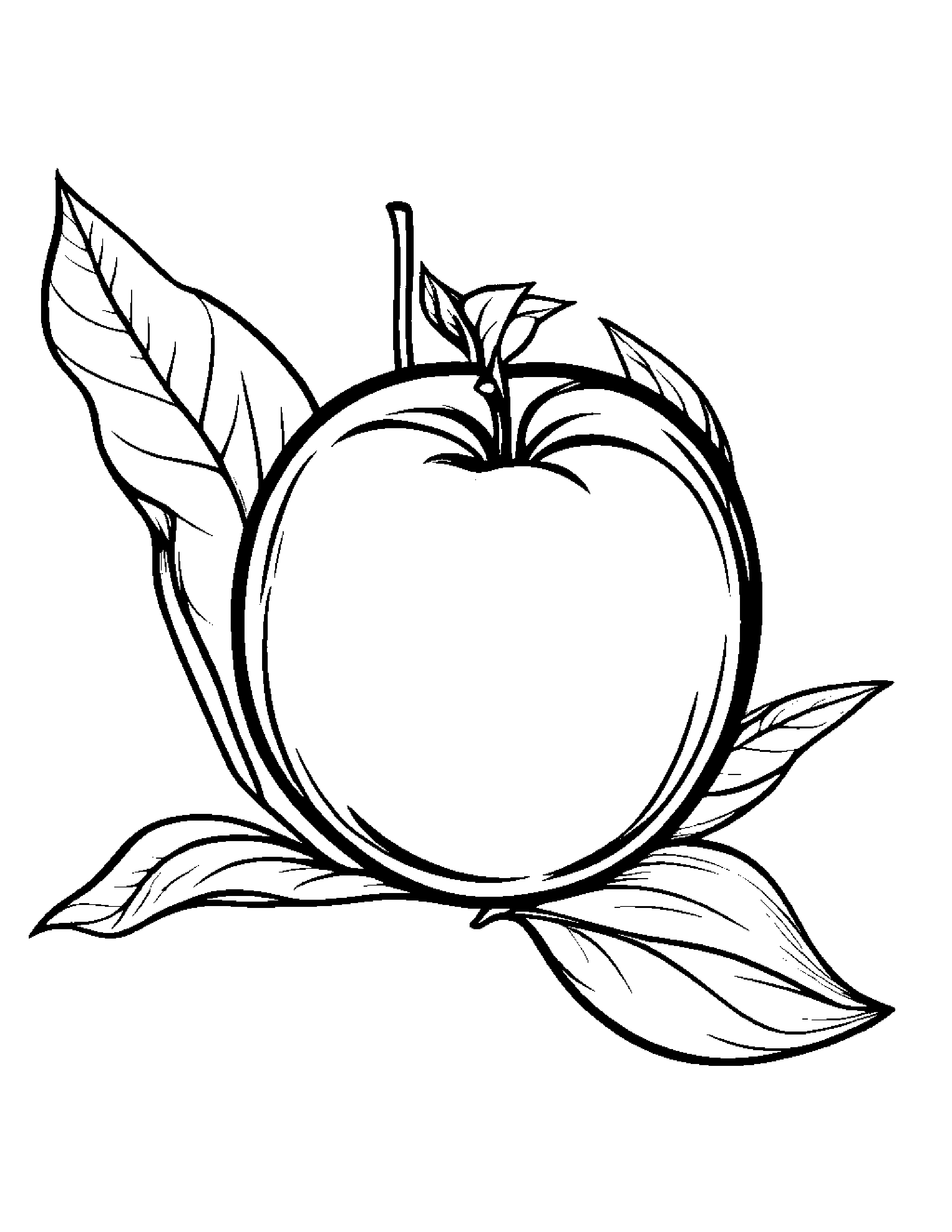 Peach With A Leaf Sprig Coloring Page (Free Printable PDF)