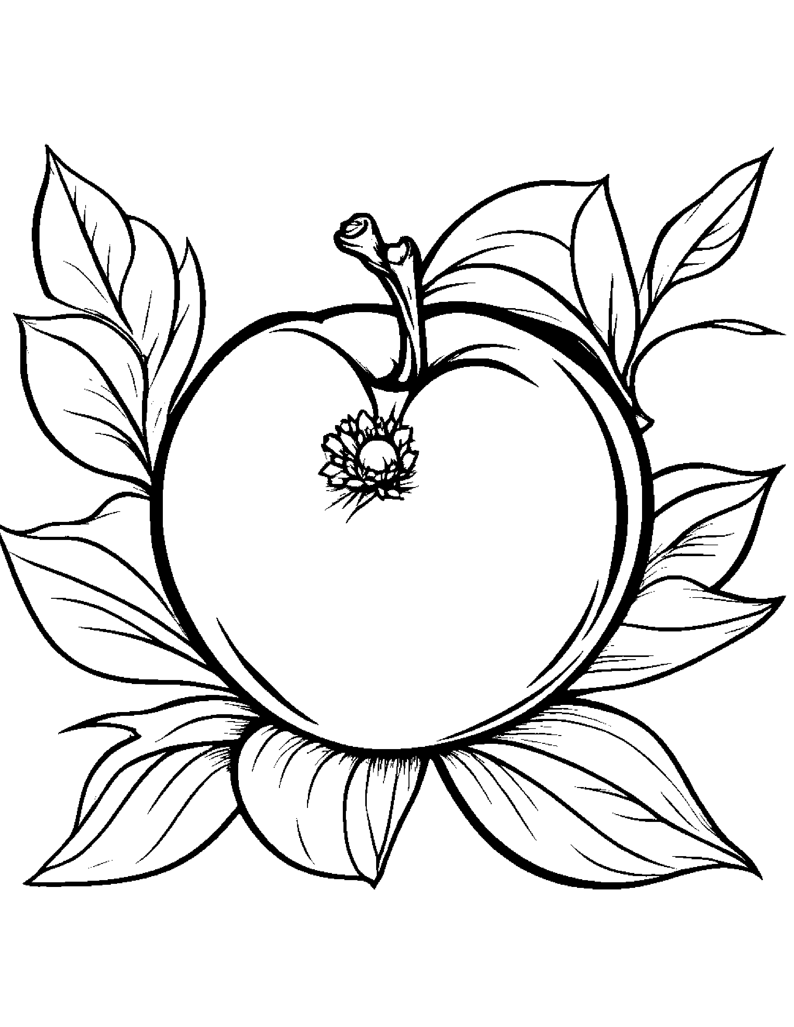 Peach With A Small Flower #2 Coloring Page (Free Printable PDF)
