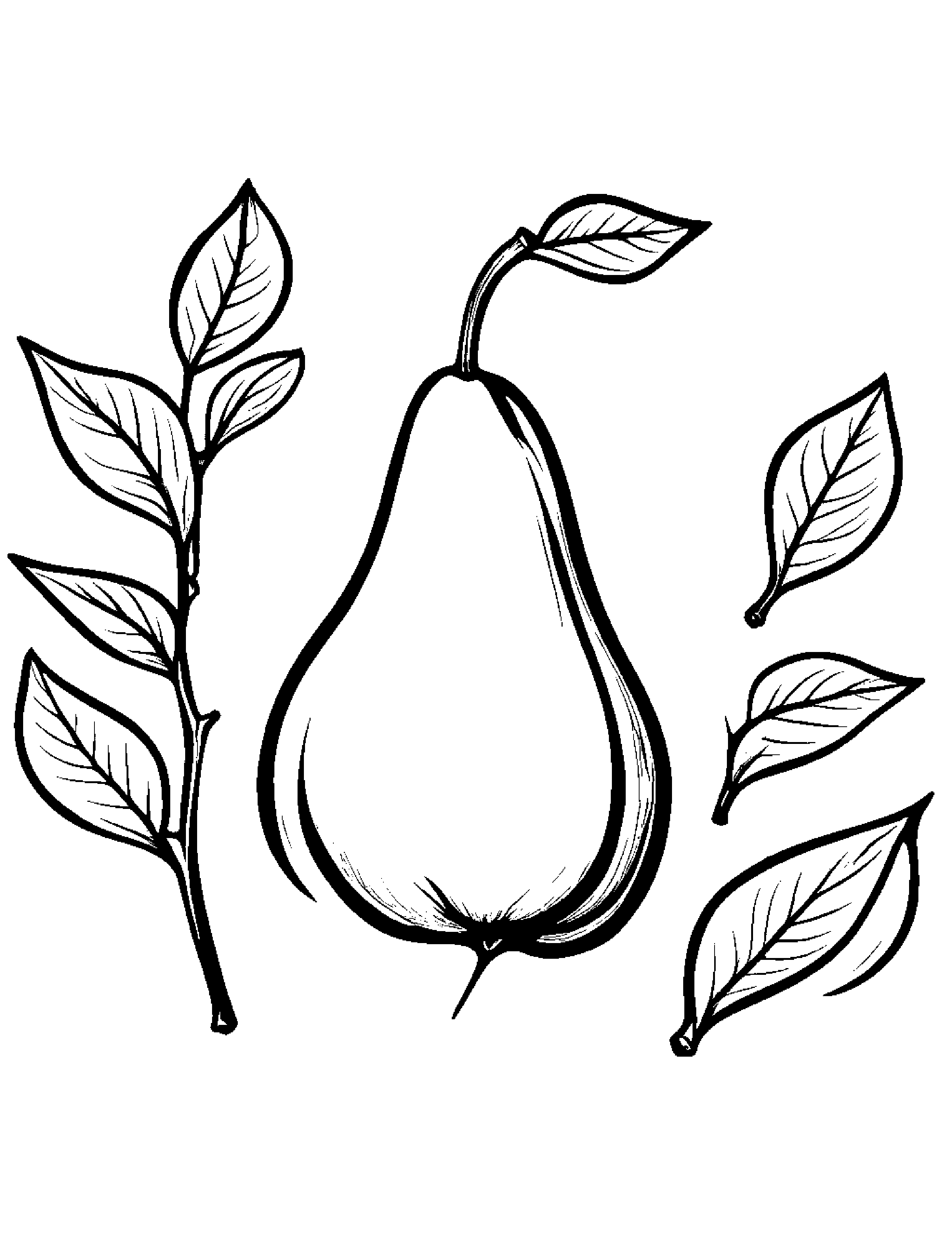 Pear With A Leaf Sprig Coloring Page (Free Printable PDF)