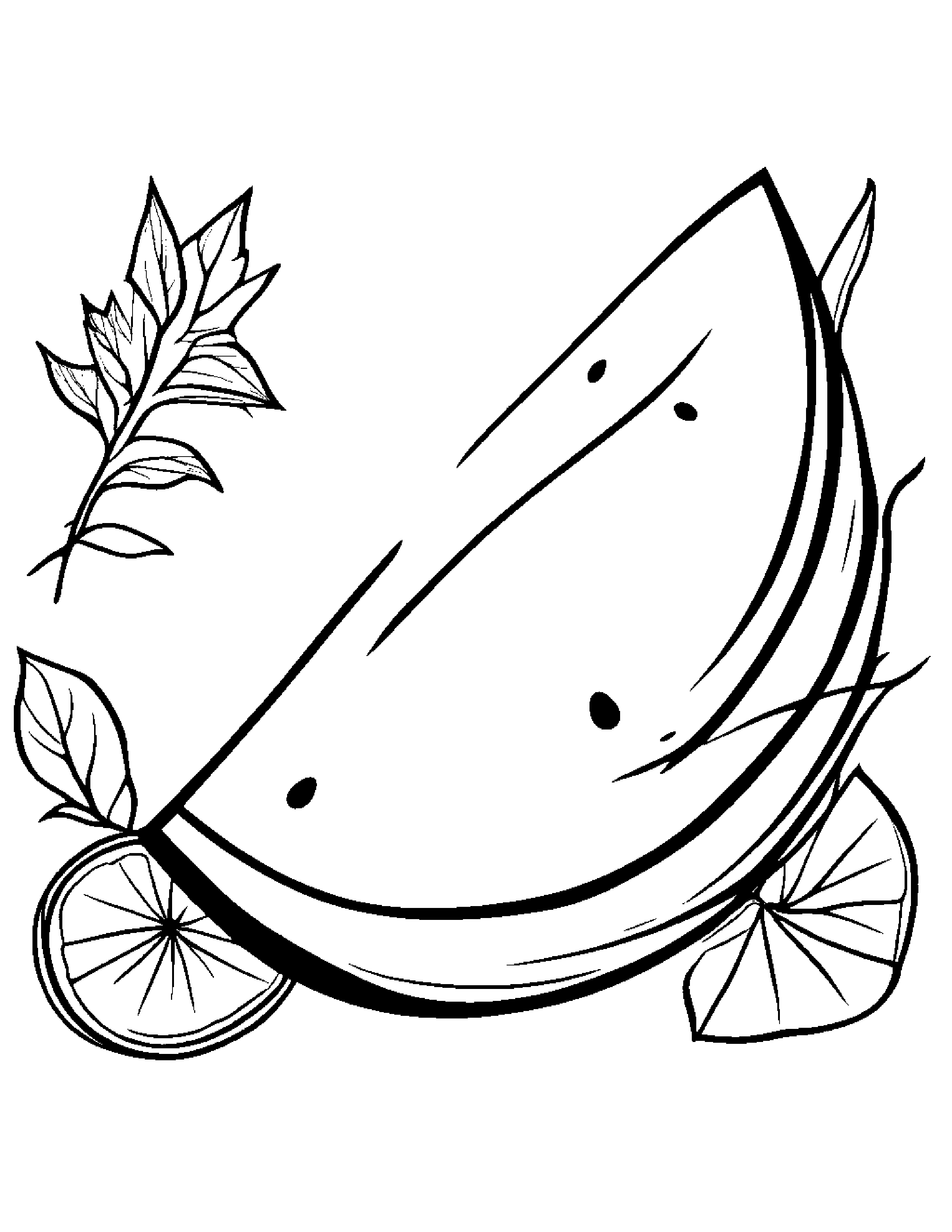Watermelon Slice With A Leaf Sprig #3 Coloring Page (Free Printable PDF)