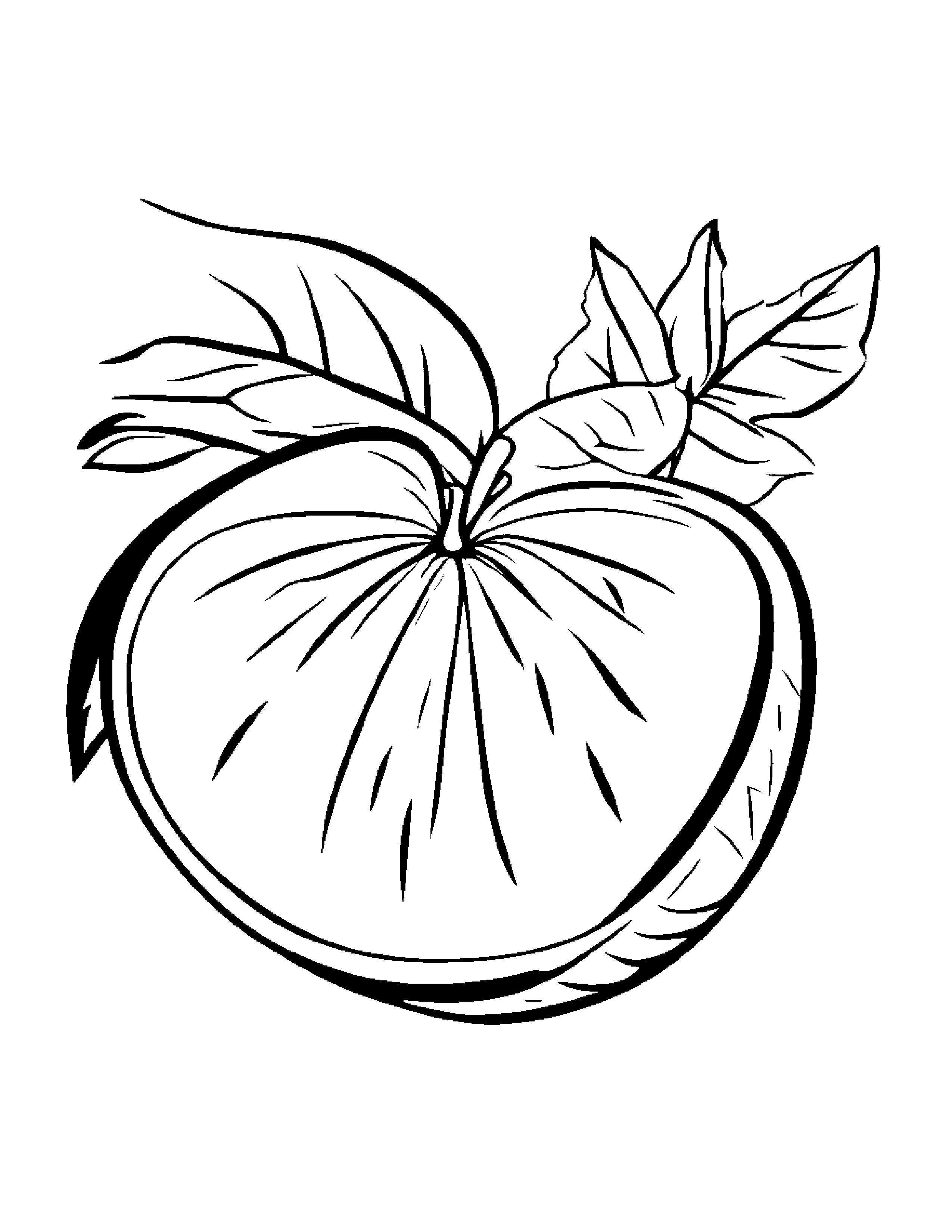 Watermelon Slice With A Leaf Sprig Coloring Page (Free Printable PDF)