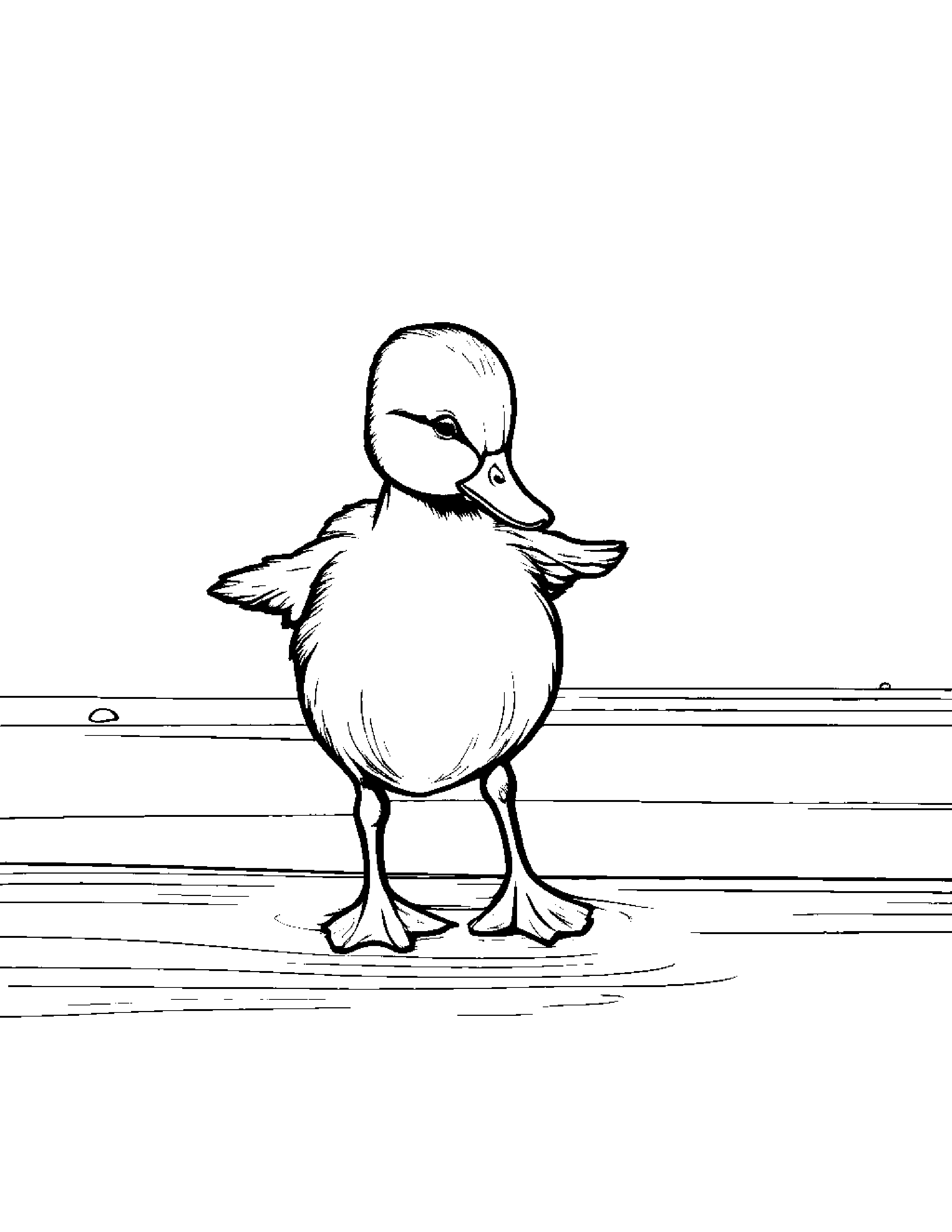 Duckling Balancing On A Line #3 Coloring Page (Free Printable PDF)