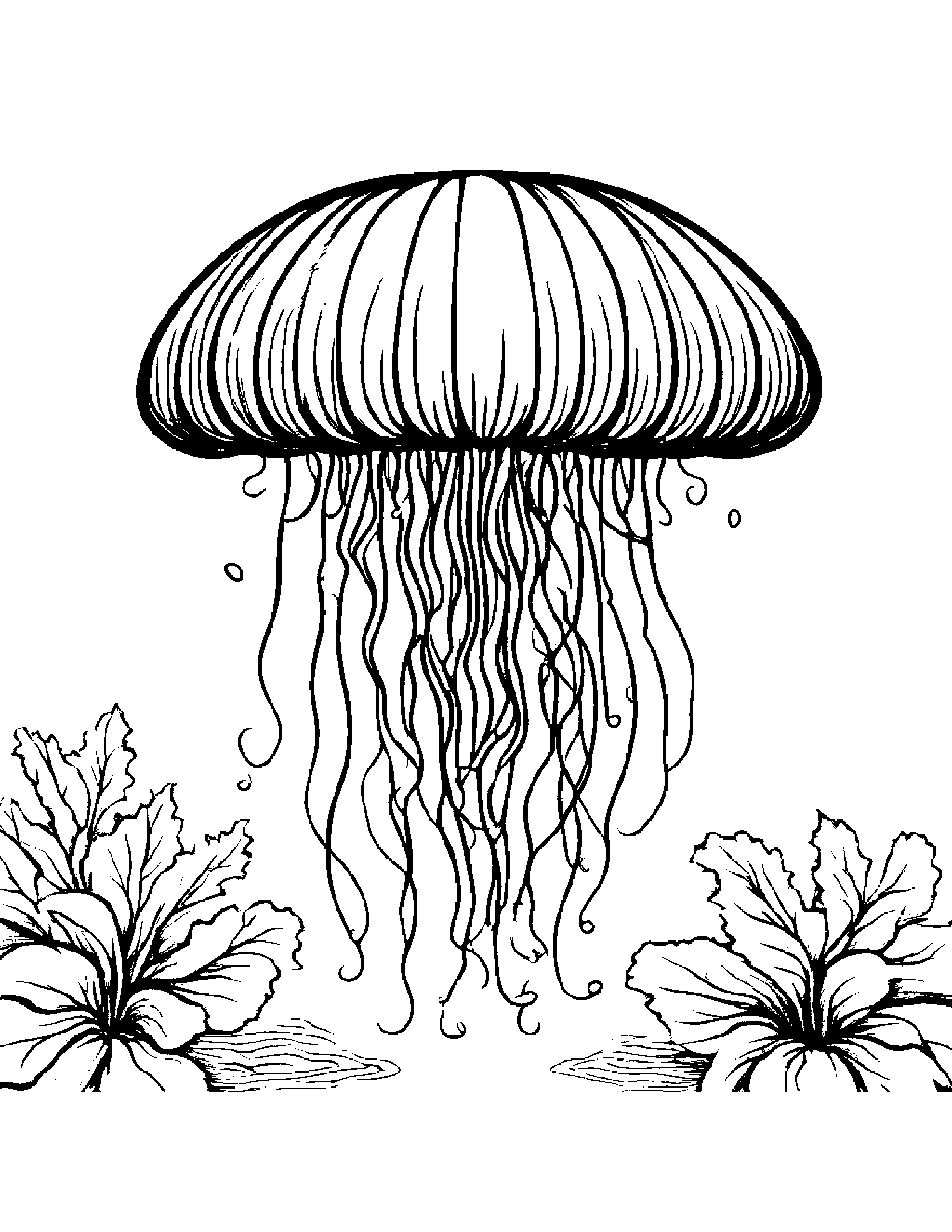 Grape Jellyfish Floating On Grape Seaweed Coloring Page (Free Printable PDF)