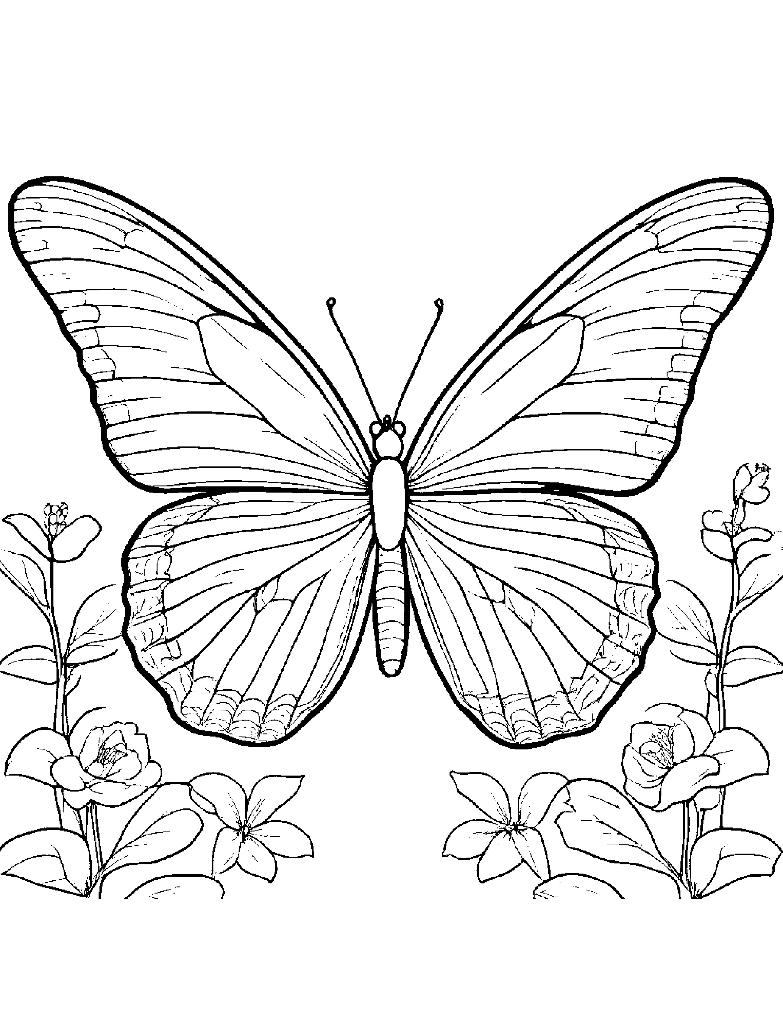 Butterfly Coloring Page (Free Printable PDF)