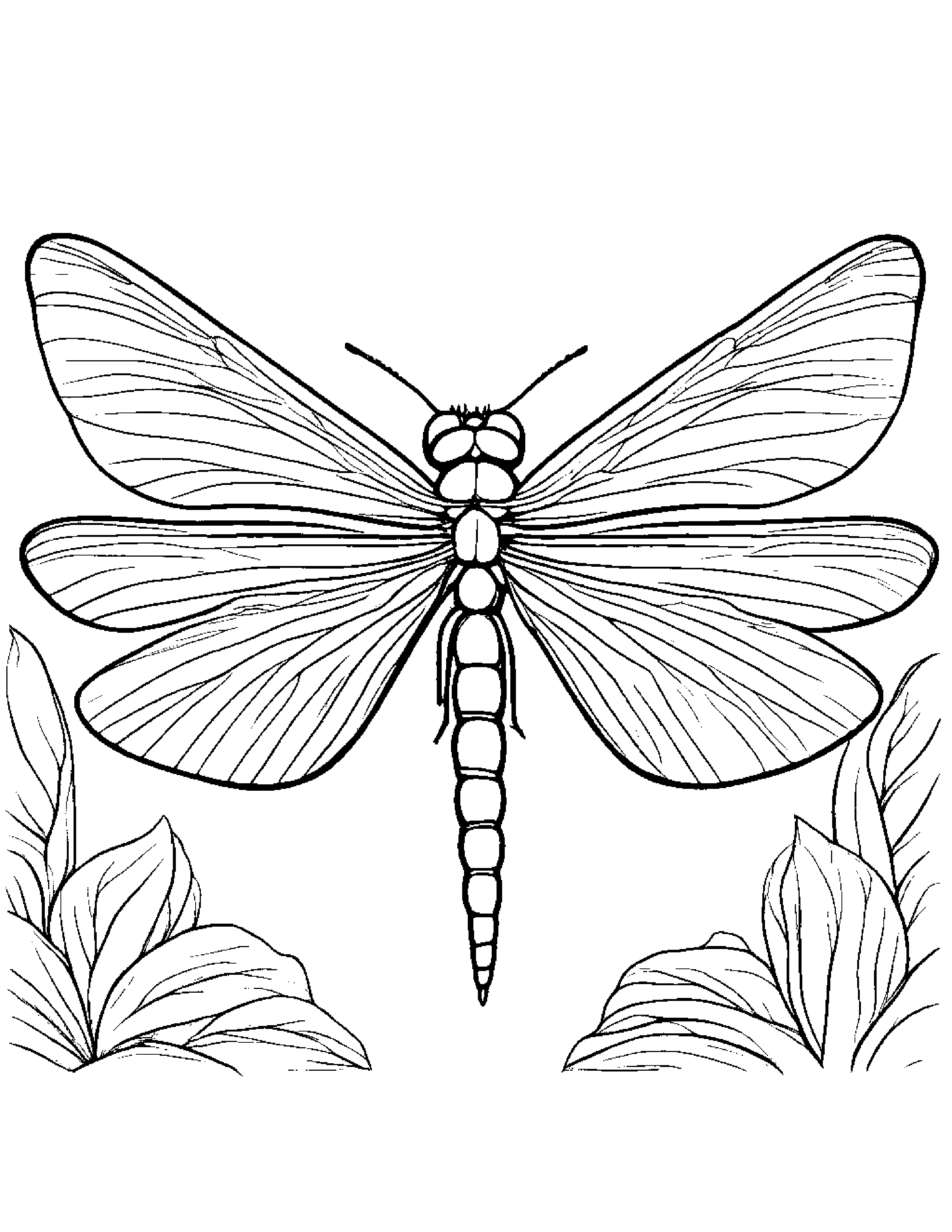 Gentle Dragonfly #4 Coloring Page (Free Printable PDF)