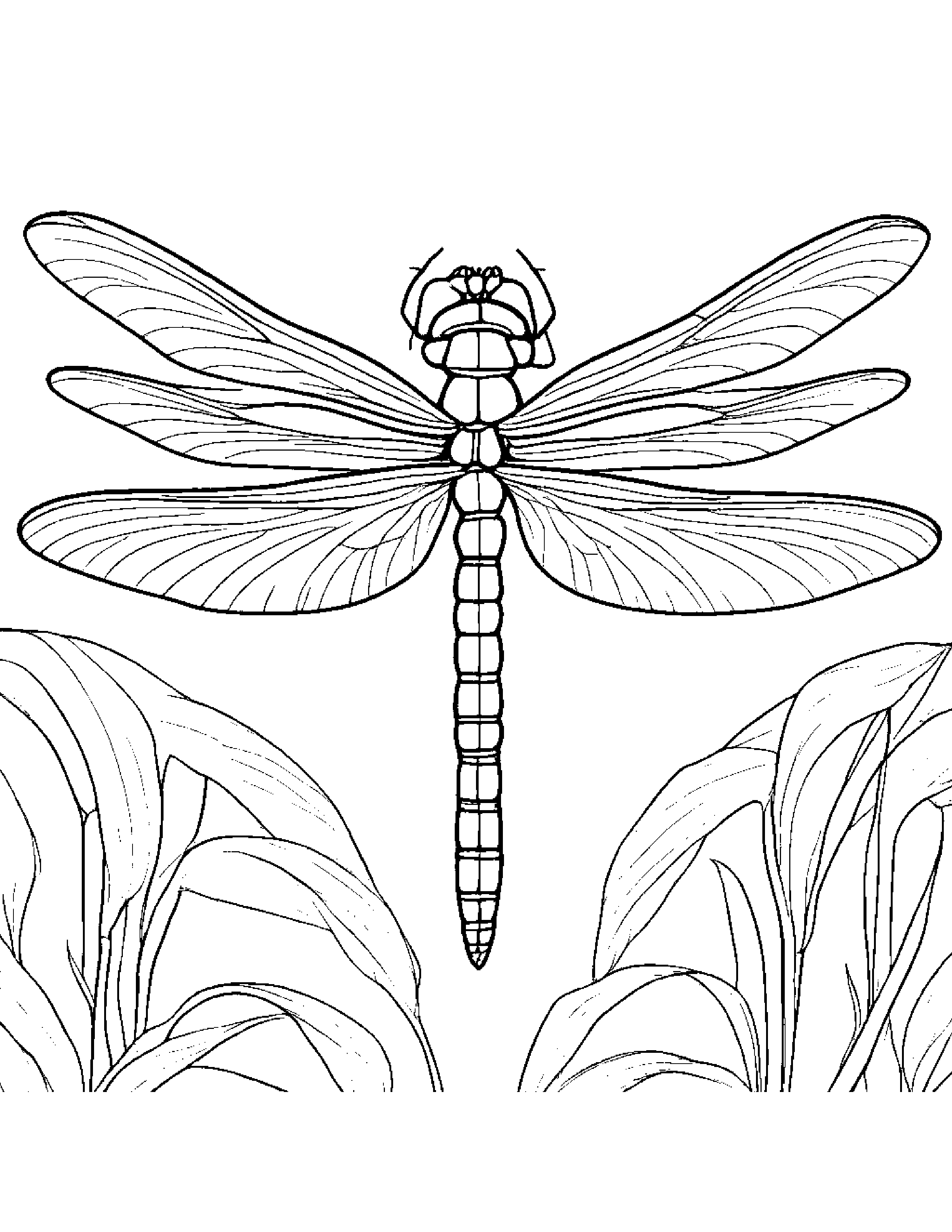 Gentle Dragonfly Coloring Page (Free Printable PDF)