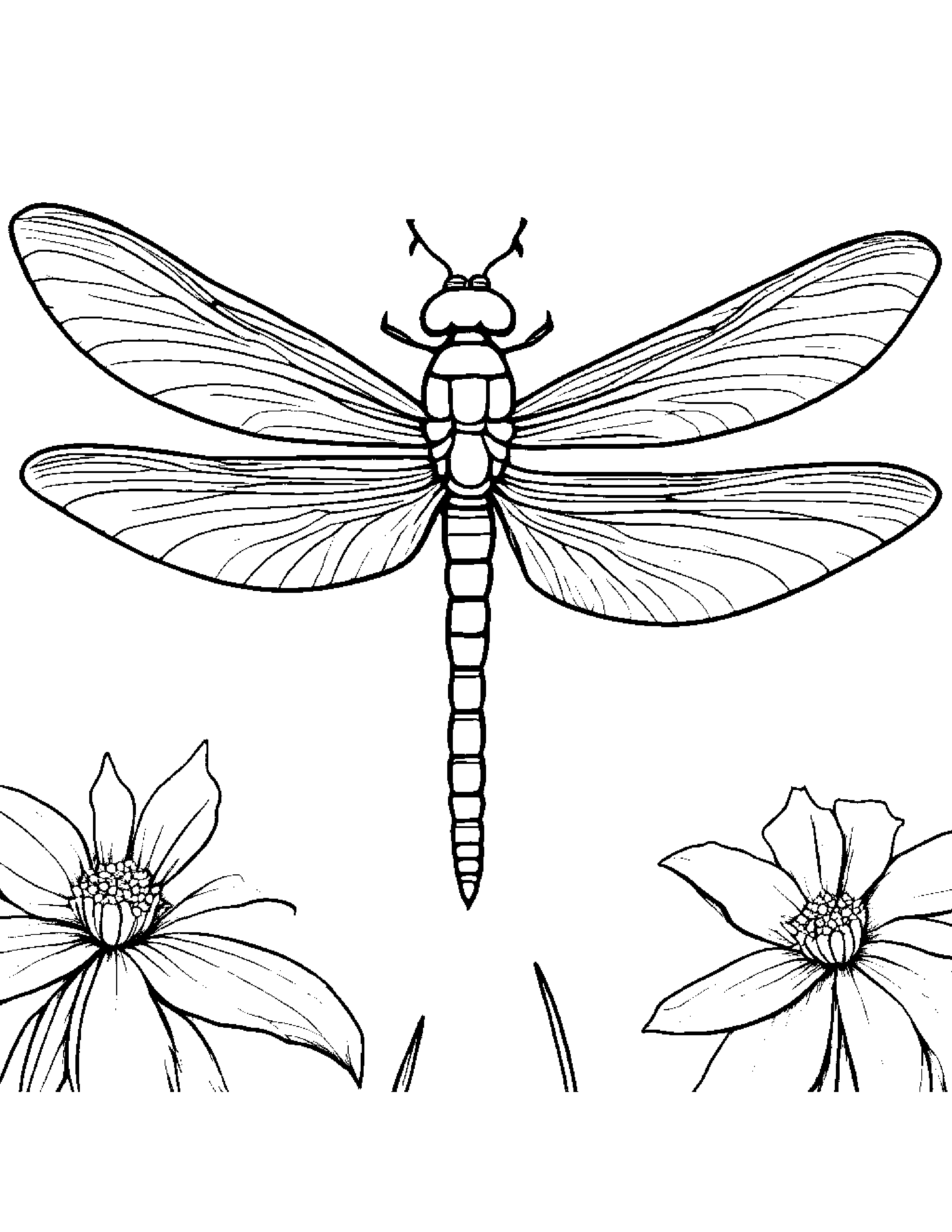 Little Dragonfly #4 Coloring Page (Free Printable PDF)