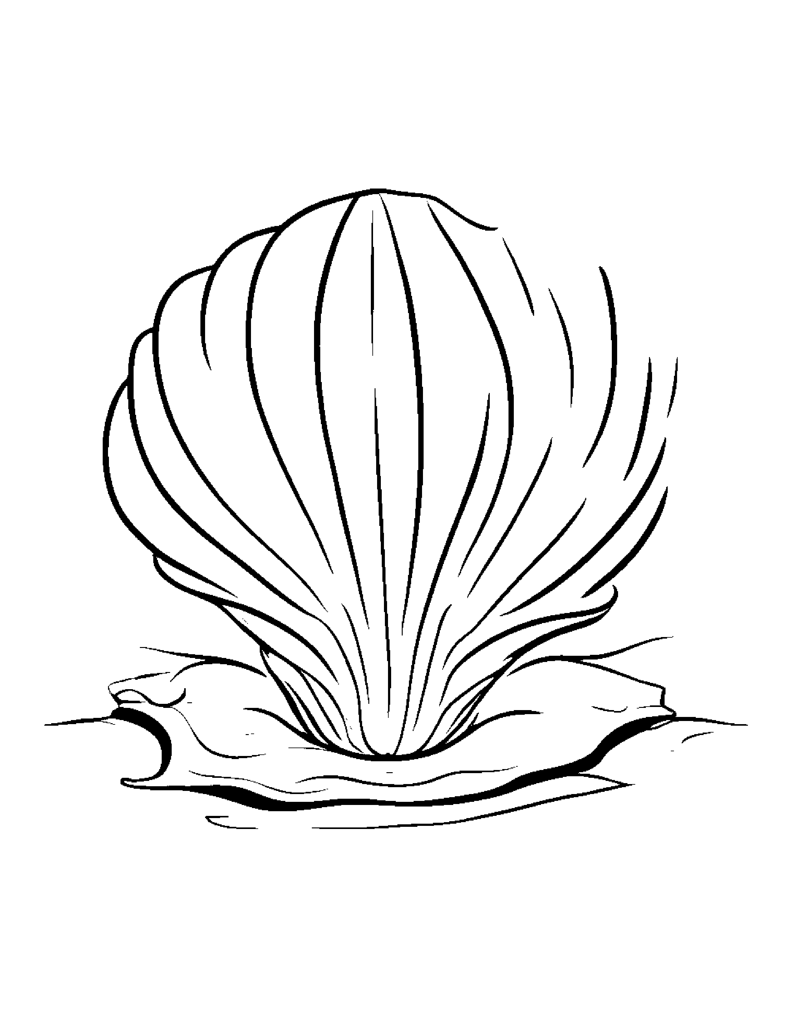 Little Seashell Wearing A Hat #2 Coloring Page (Free Printable PDF)