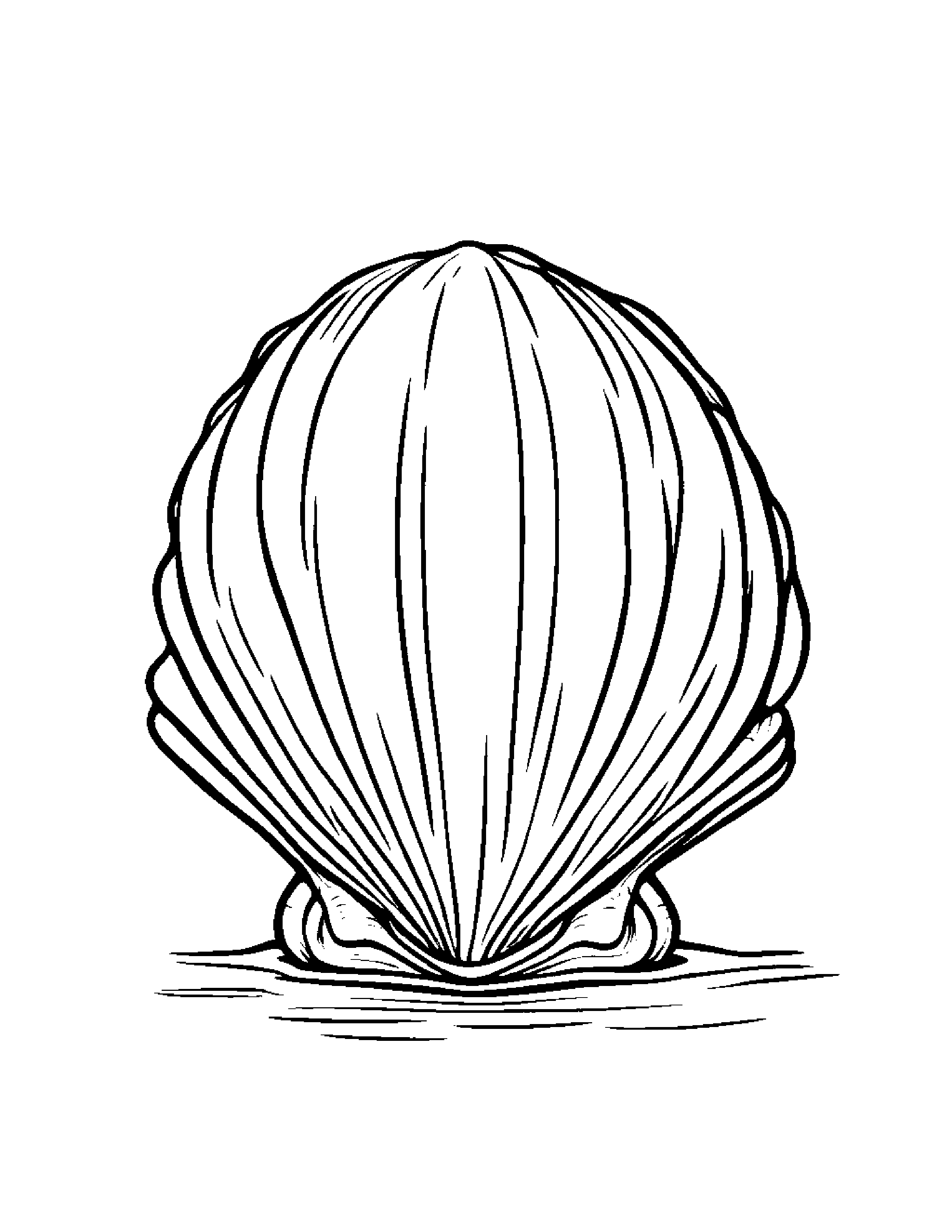 Little Seashell Wearing A Hat Coloring Page (Free Printable PDF)