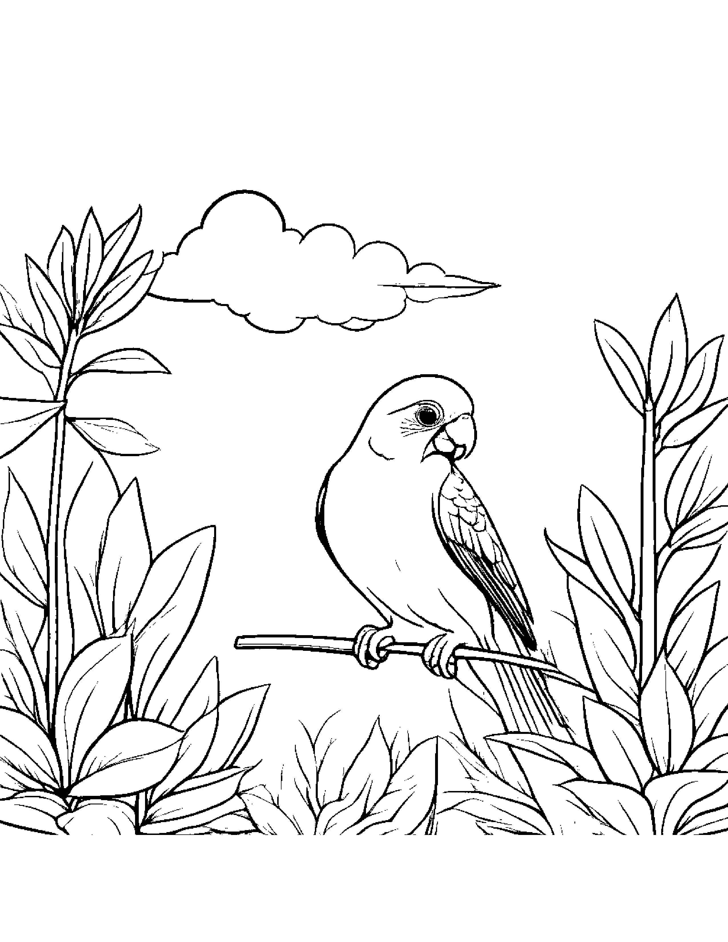Gentle Parakeet Watering A Plant On A Fluffy Cloud #2 Coloring Page (Free Printable PDF)