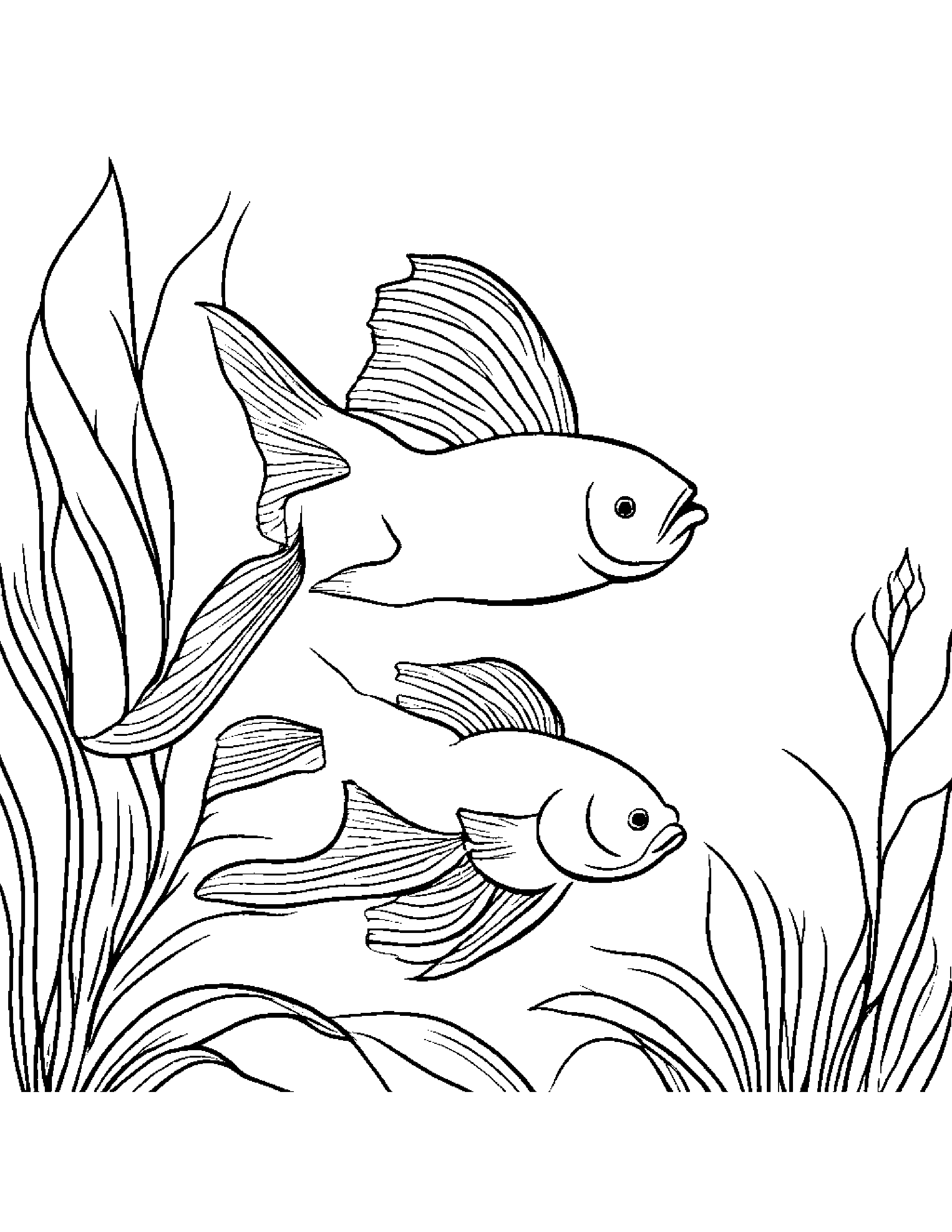 Goldfish With A Leaf Sprig Coloring Page (Free Printable PDF)