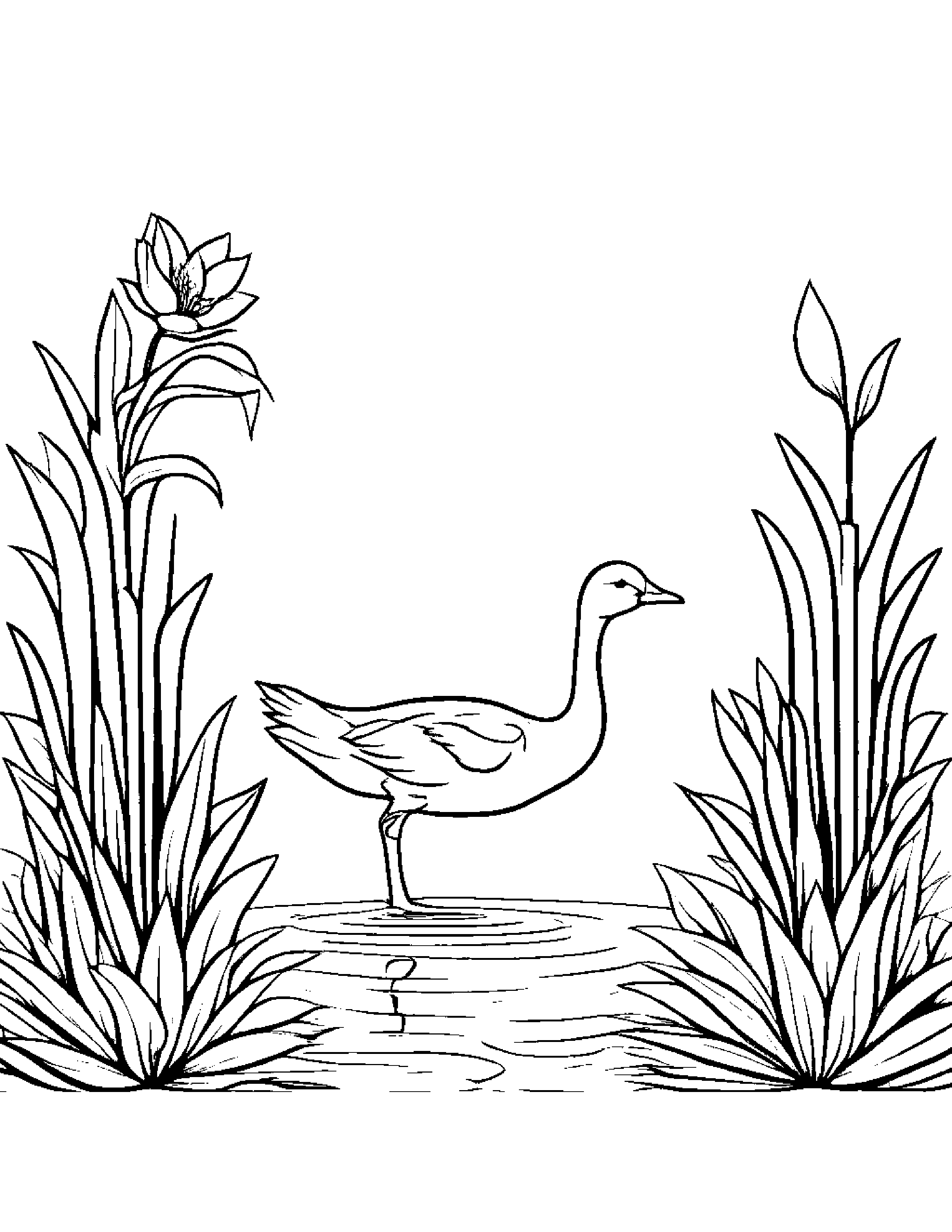 Gosling Watering A Plant #2 Coloring Page (Free Printable PDF)