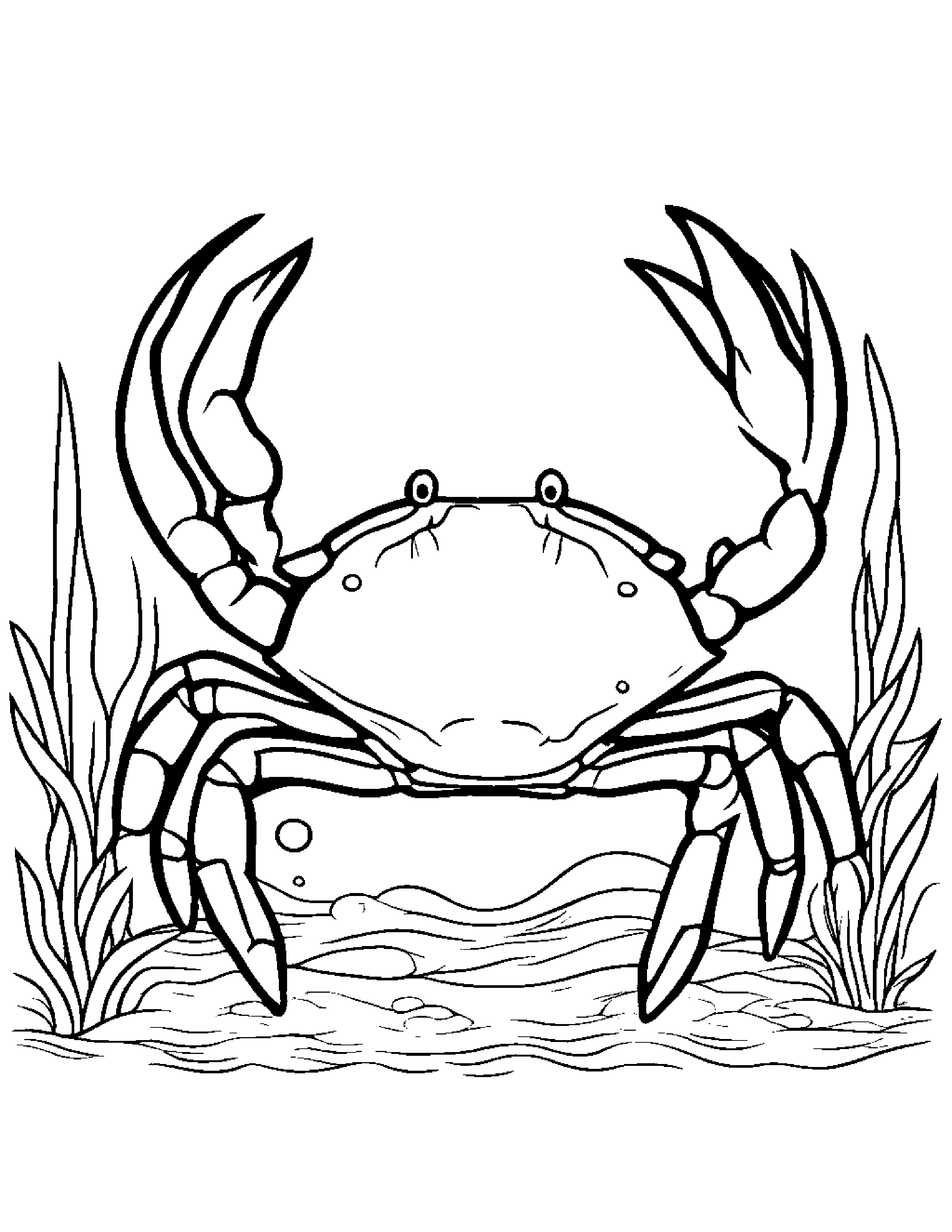 Bubbly Crab Coloring Page (Free Printable PDF)