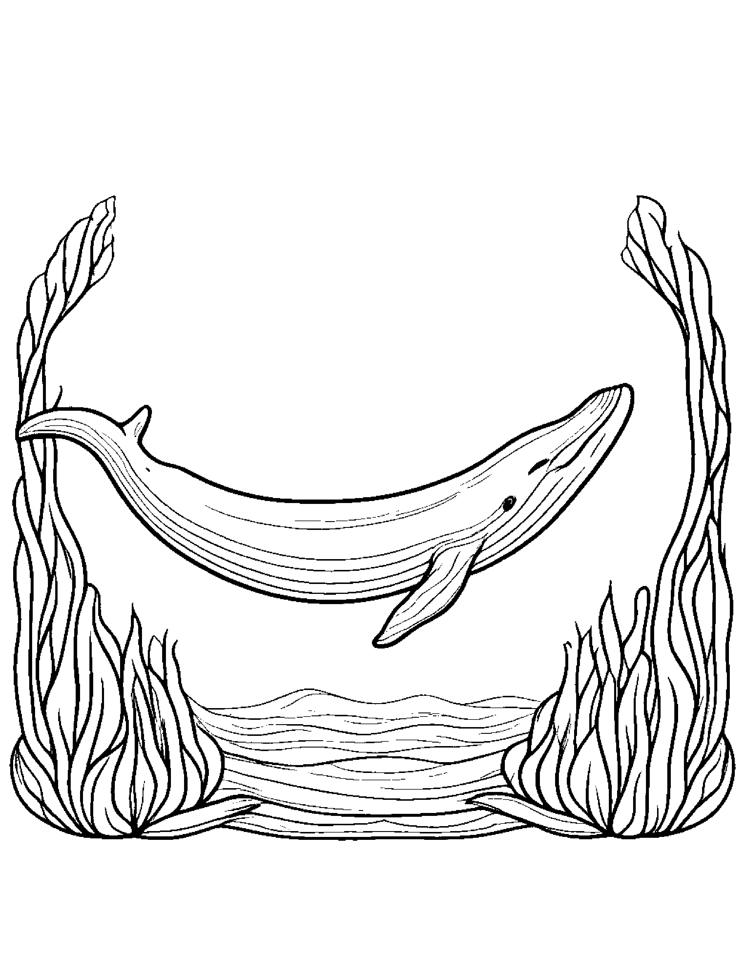 Cozy Whale Calf #2 Coloring Page (Free Printable PDF)