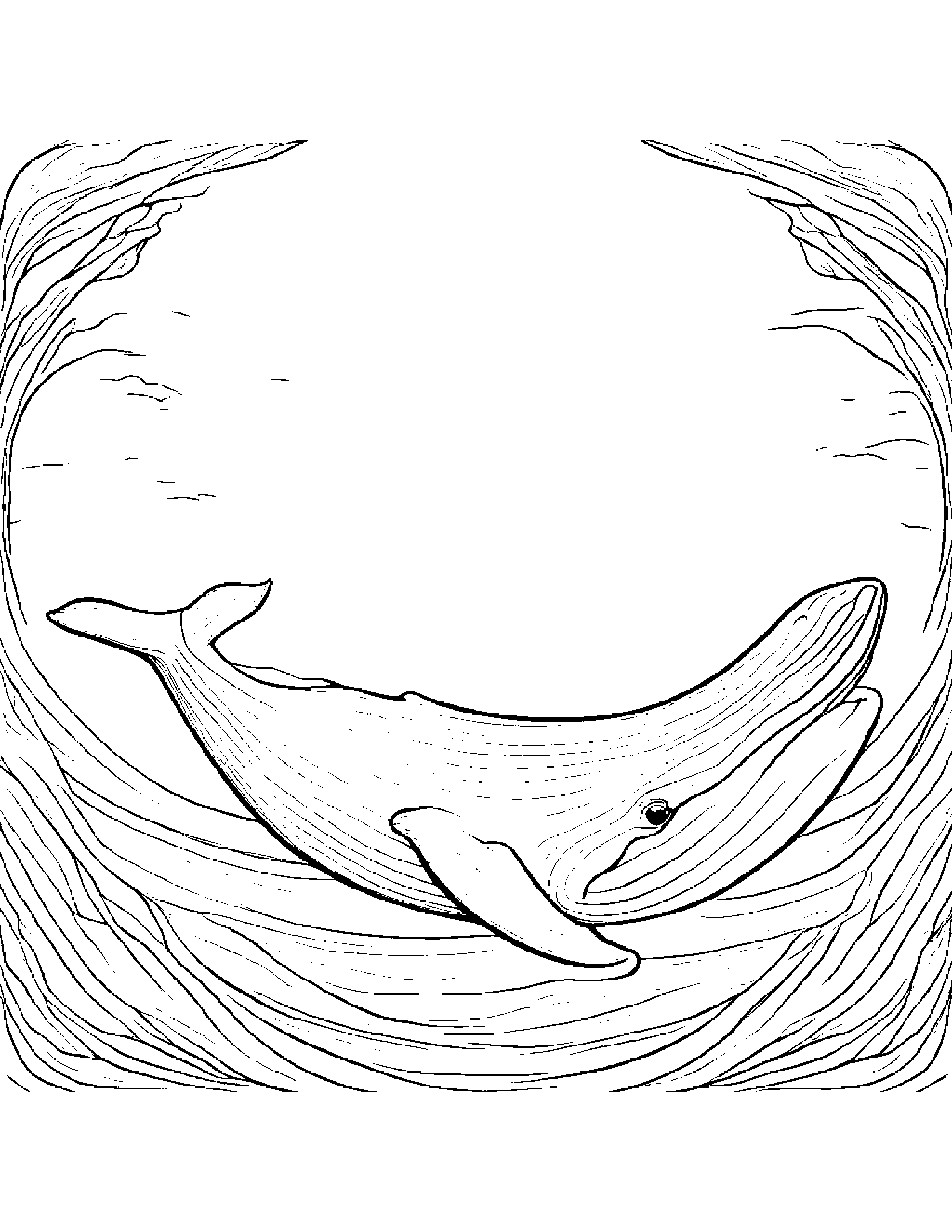 Cozy Whale Calf #5 Coloring Page (Free Printable PDF)