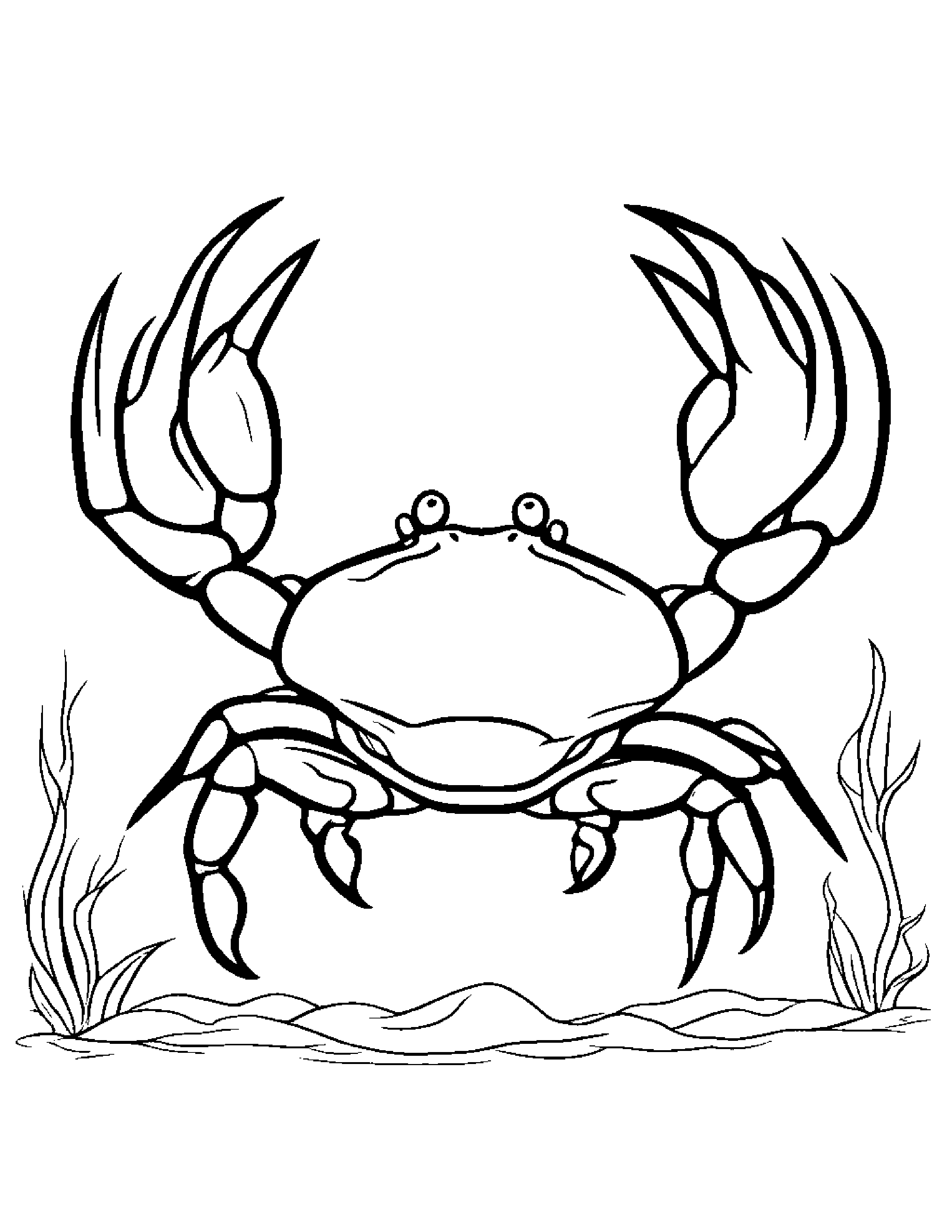 Crab With A Friendly Star Coloring Page (Free Printable PDF)