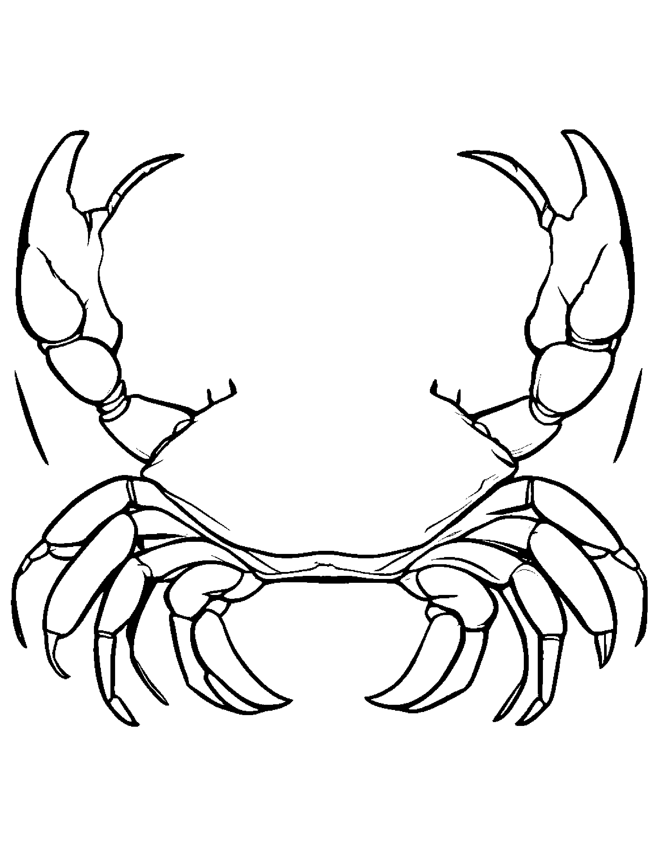 Crab With A Ribbon #3 Coloring Page (Free Printable PDF)