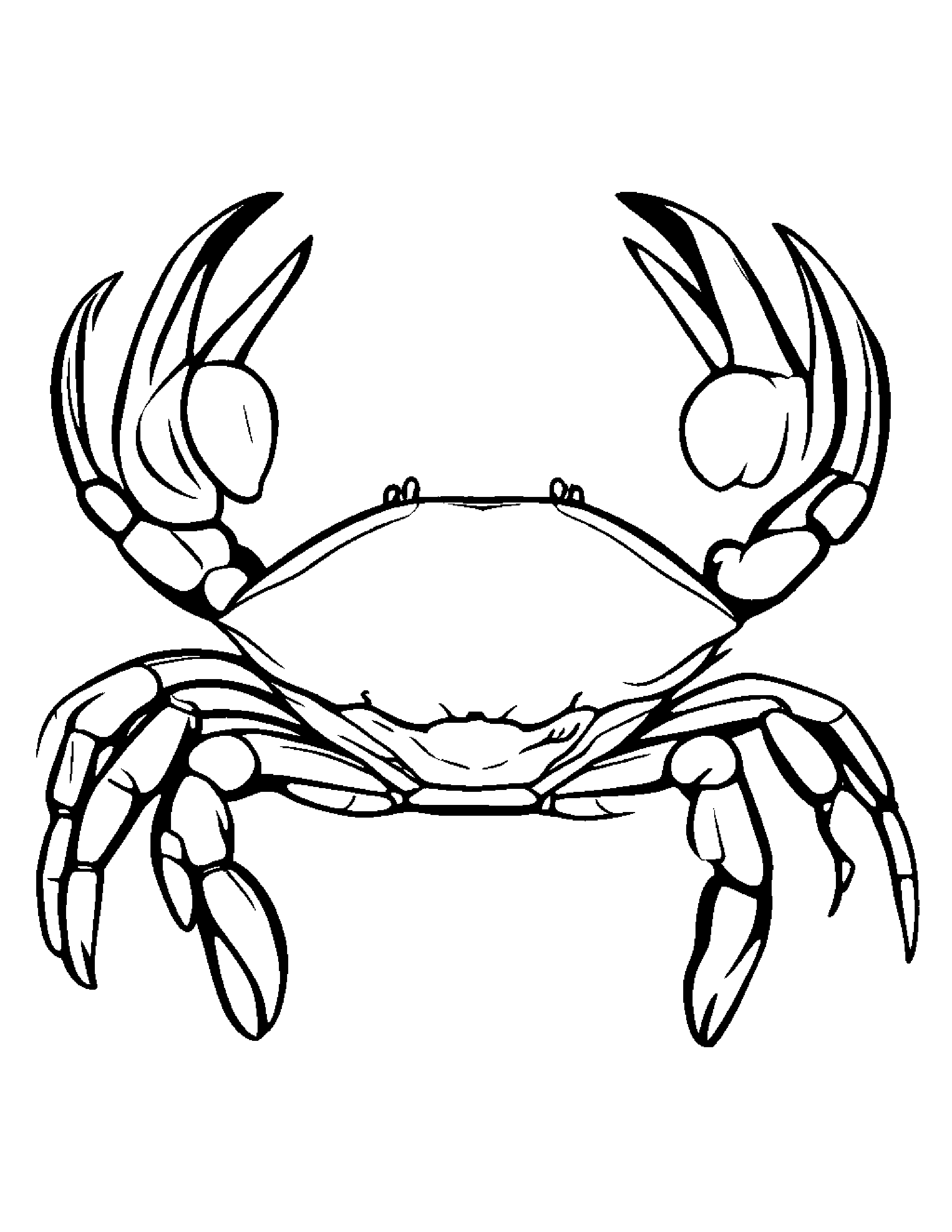 Crab With A Soft Scarf #2 Coloring Page (Free Printable PDF)