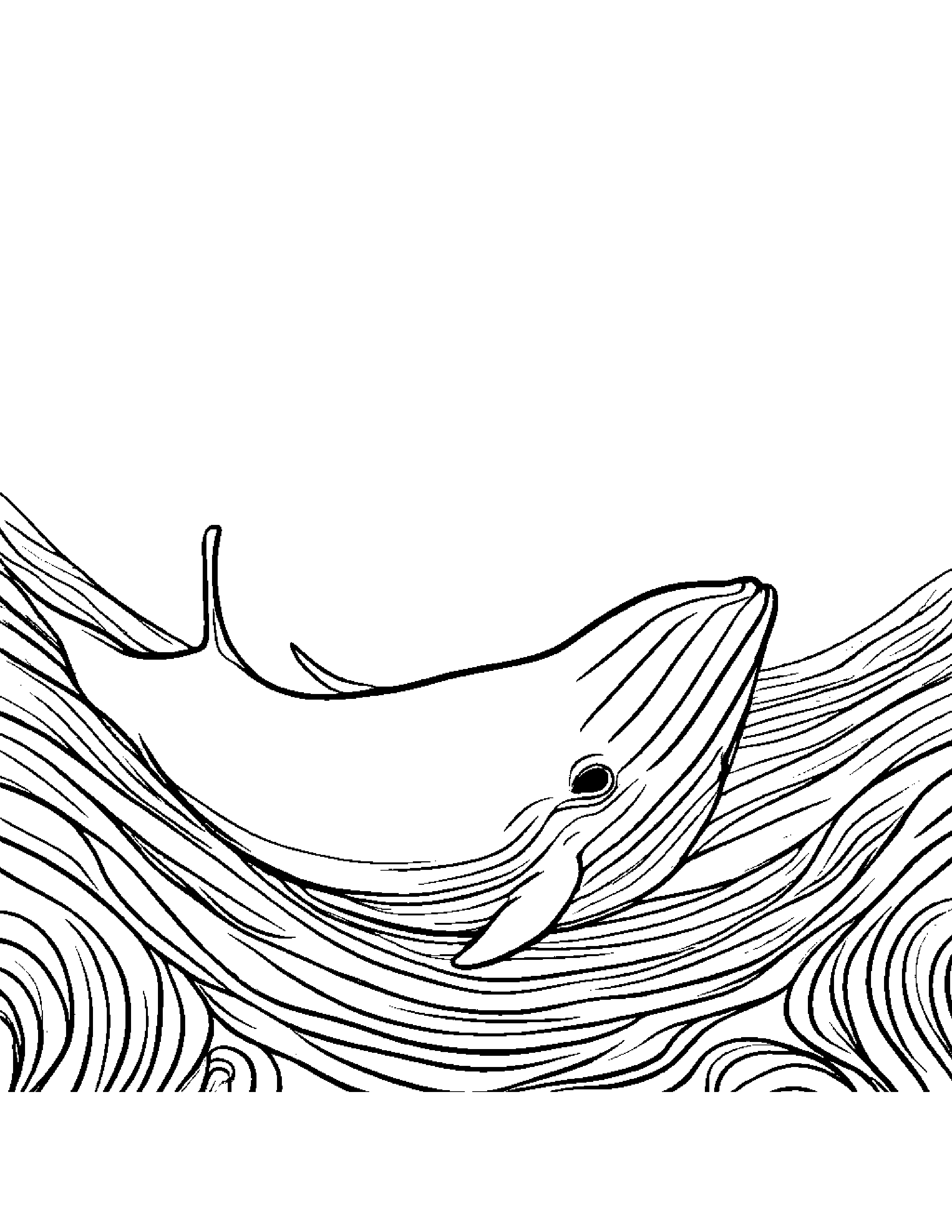 Cuddly Whale Calf #5 Coloring Page (Free Printable PDF)