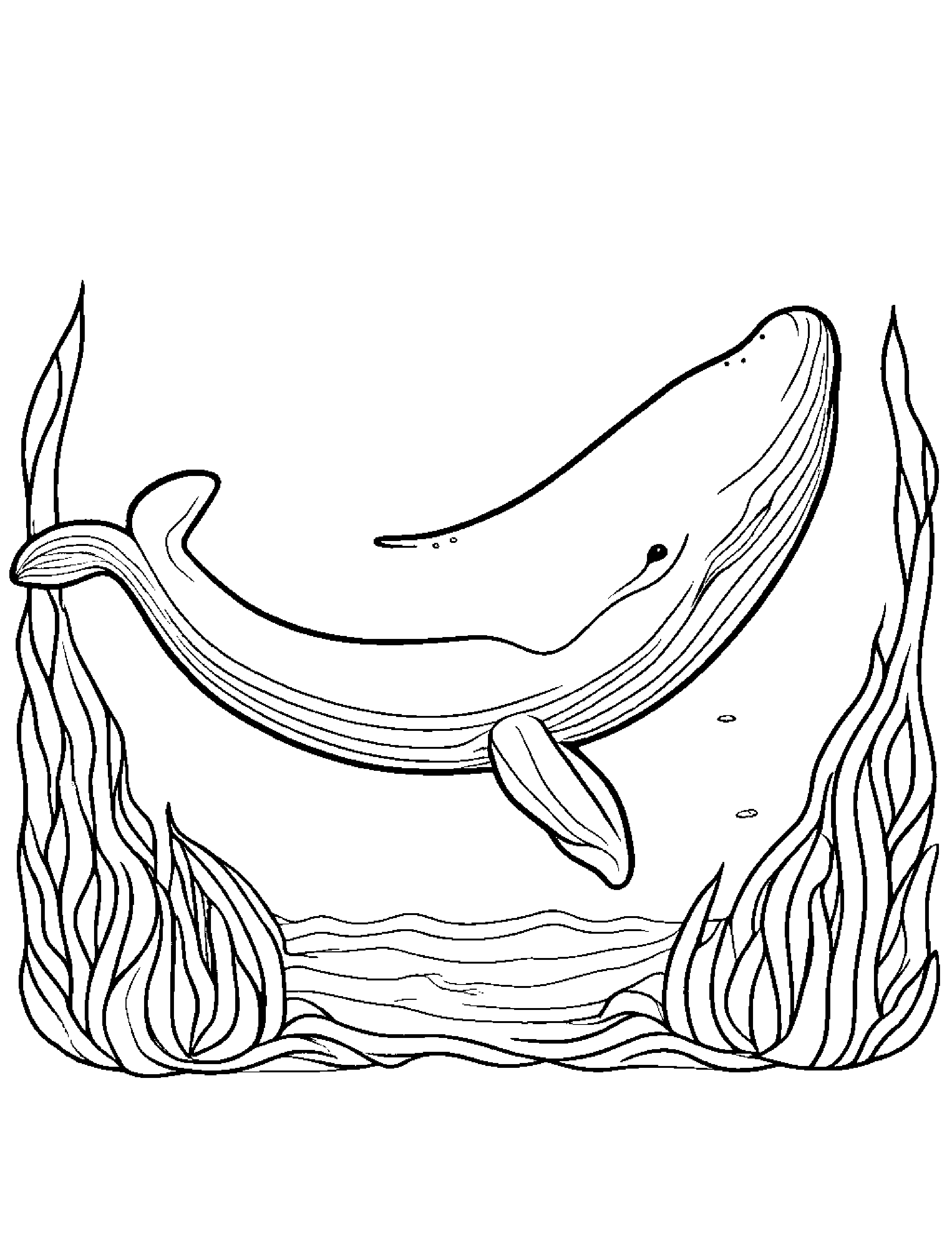 Cuddly Whale Calf Coloring Page (Free Printable PDF)