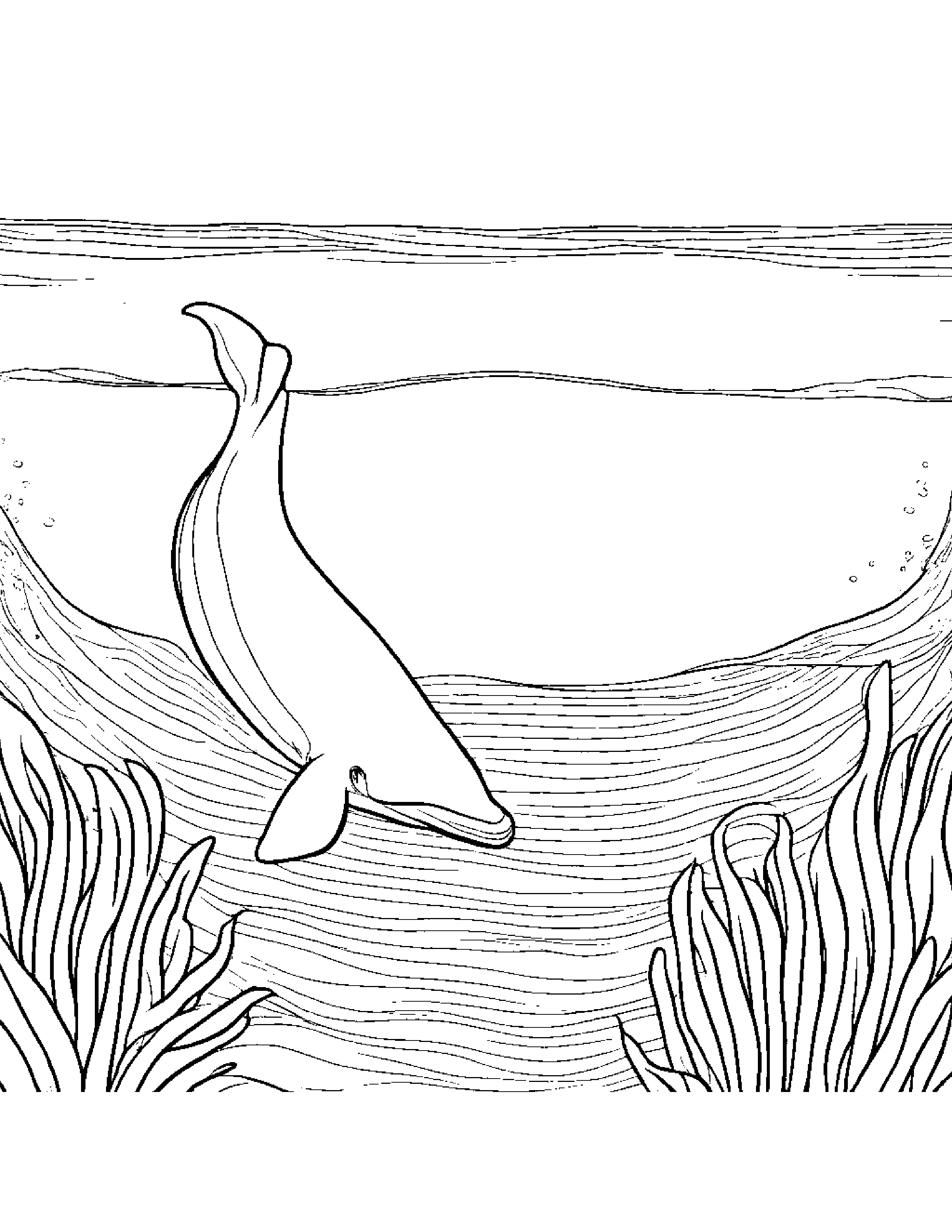 Curious Whale Calf Sharing #3 Coloring Page (Free Printable PDF)
