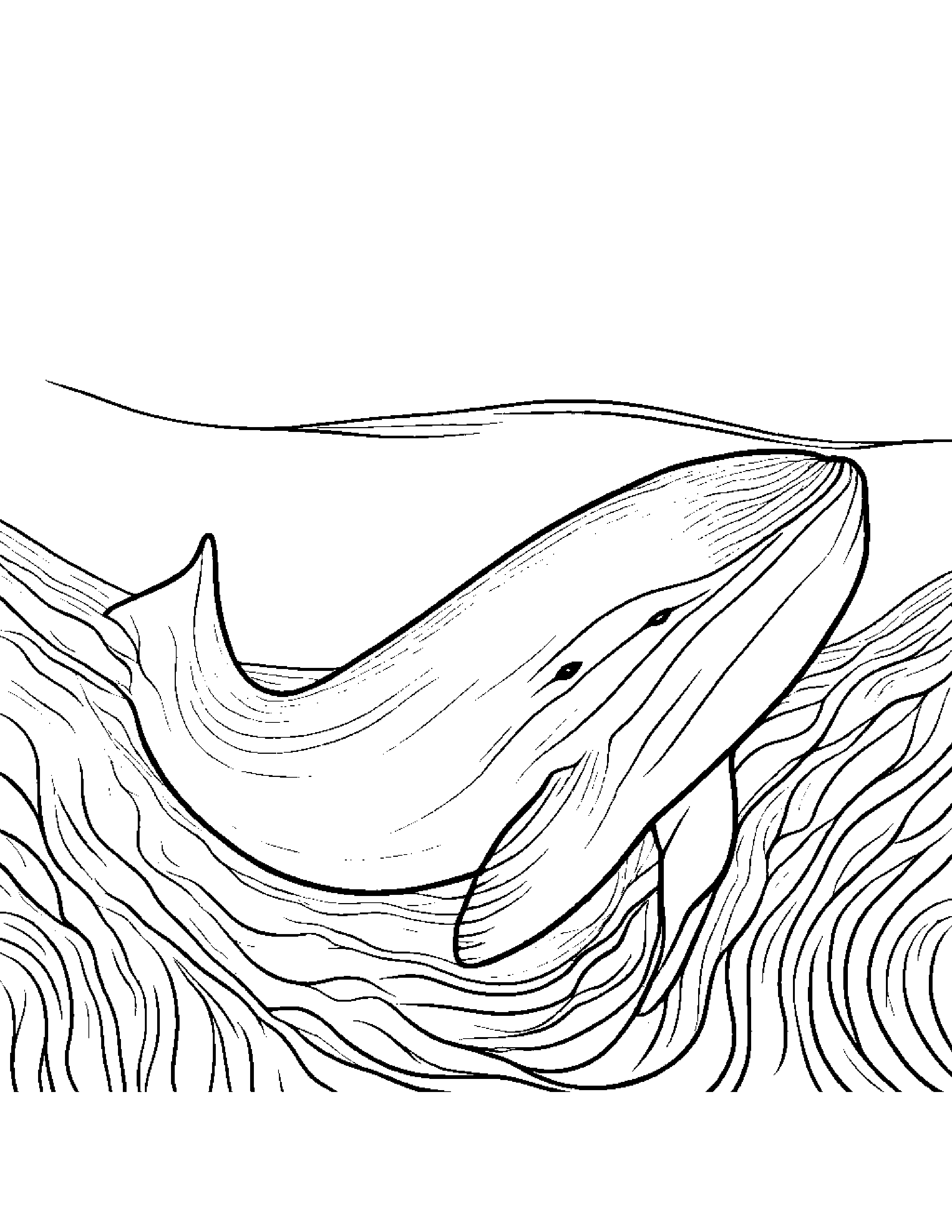 Curious Whale Calf Sharing #4 Coloring Page (Free Printable PDF)