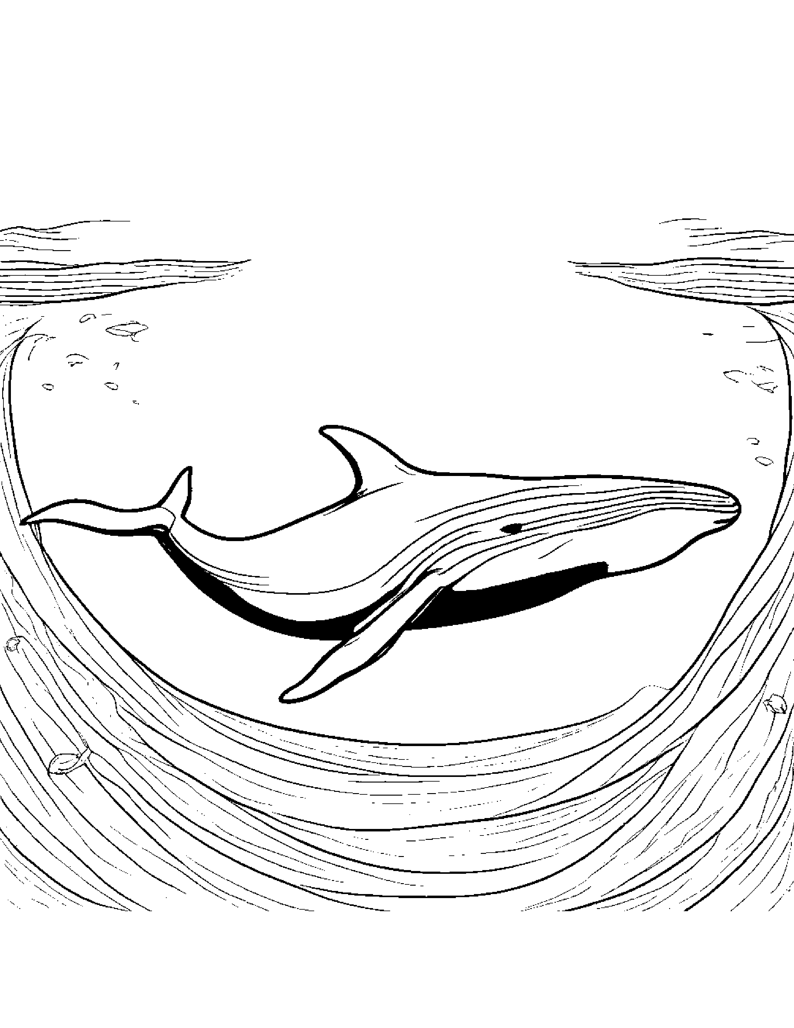 Curious Whale Calf Sharing #5 Coloring Page (Free Printable PDF)