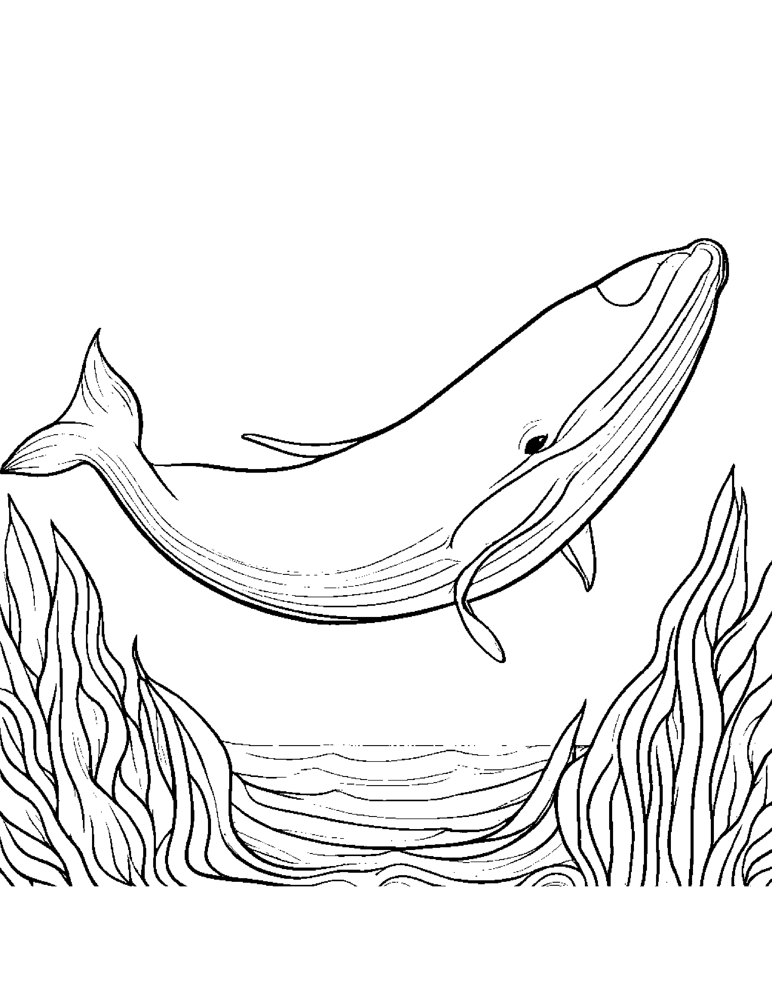 Curious Whale Calf Sharing Coloring Page (Free Printable PDF)