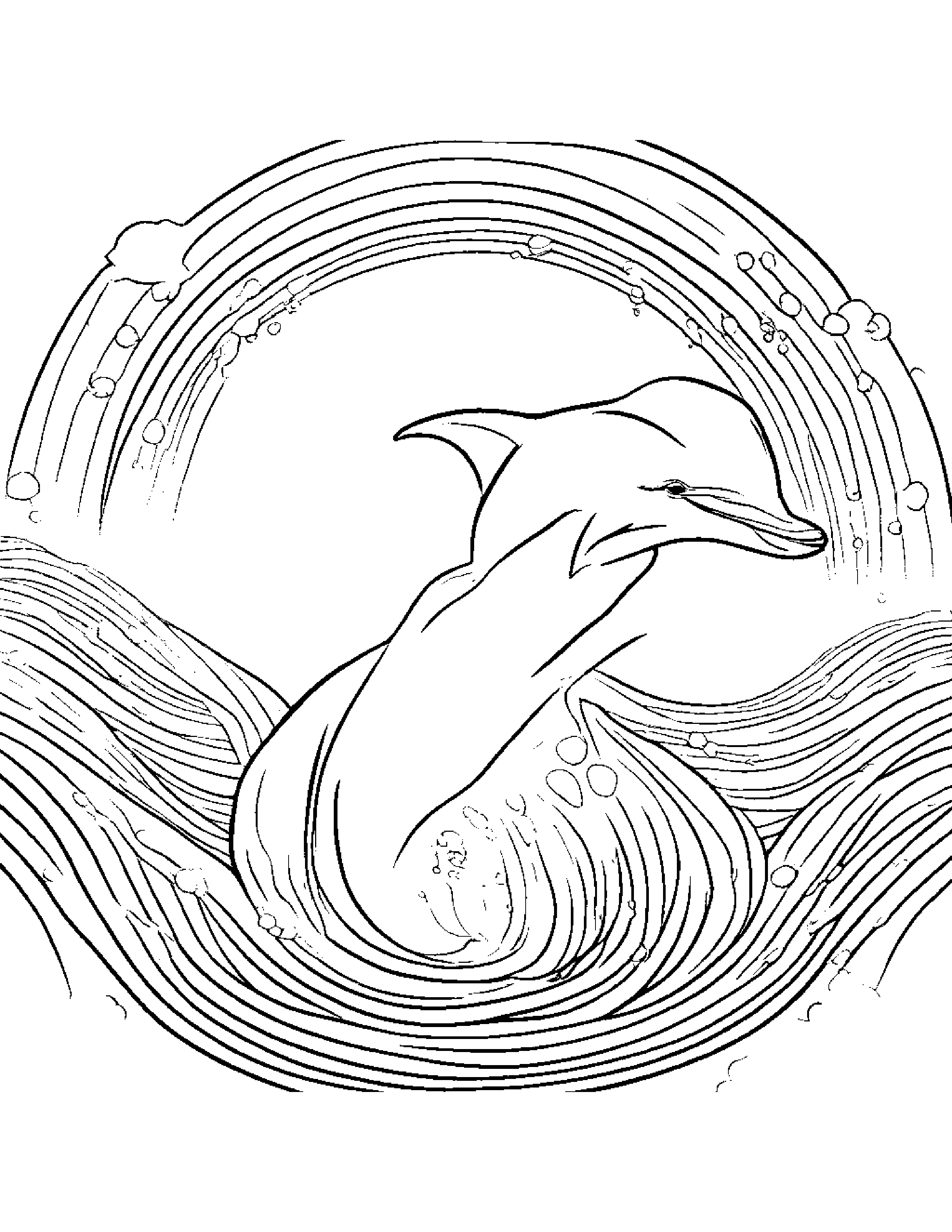 Dolphin Calf Learning To Count To Ten Under A Rainbow #4 Coloring Page (Free Printable PDF)