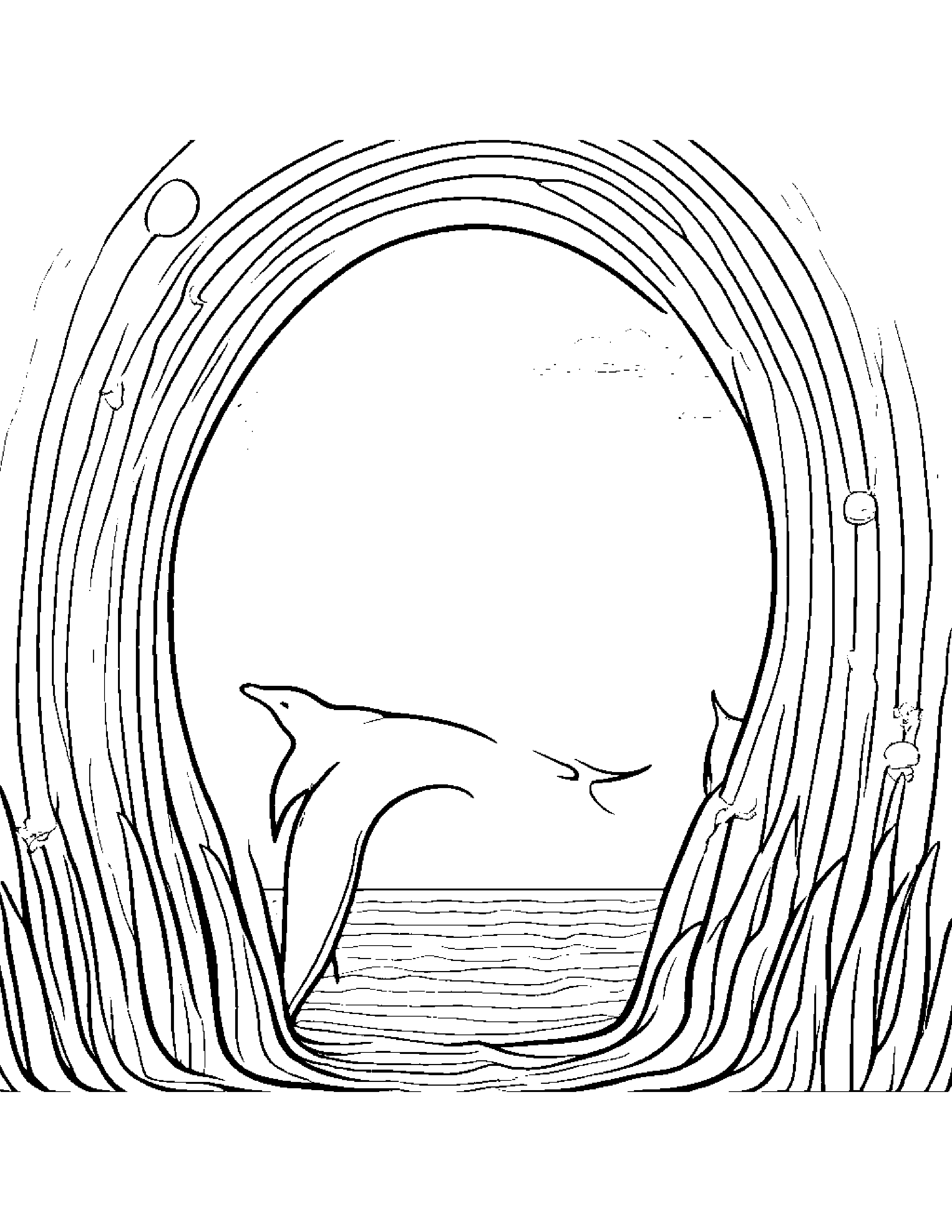 Dolphin Calf Playing Hide-And-Seek Under A Rainbow #2 Coloring Page (Free Printable PDF)