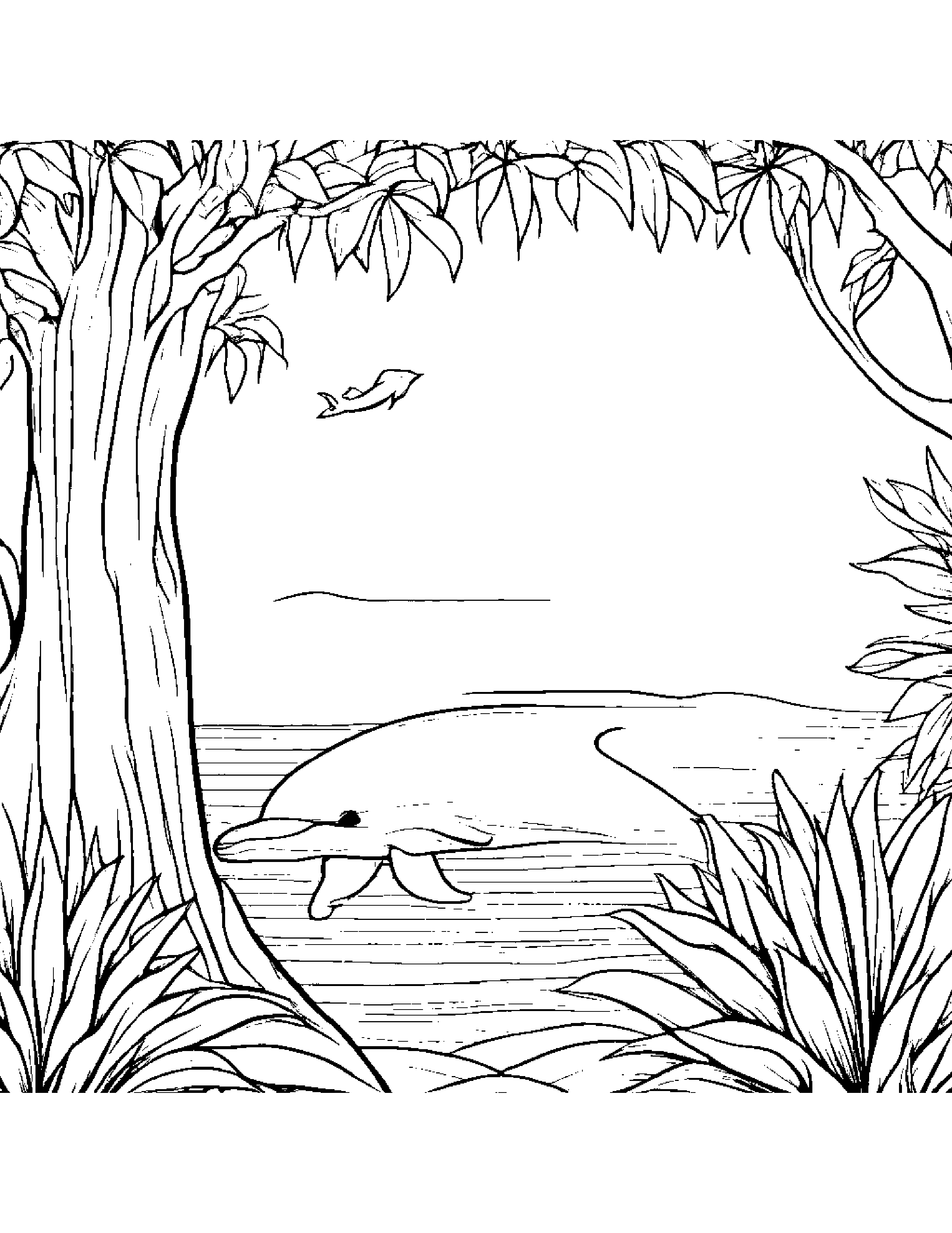 Dolphin Calf Playing Peekaboo By A Little Tree #2 Coloring Page (Free Printable PDF)