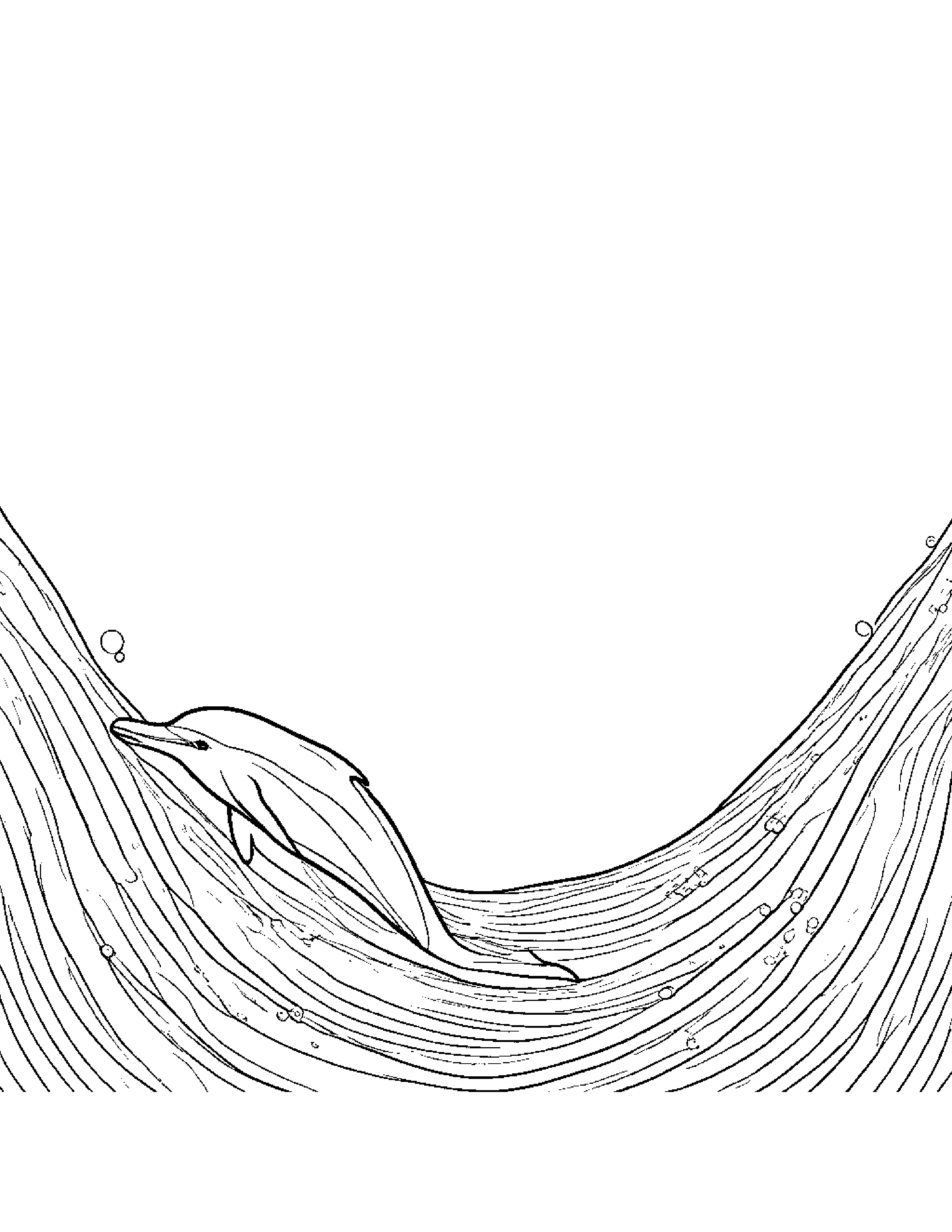 Dolphin Calf With A Friendly Star Coloring Page (Free Printable PDF)