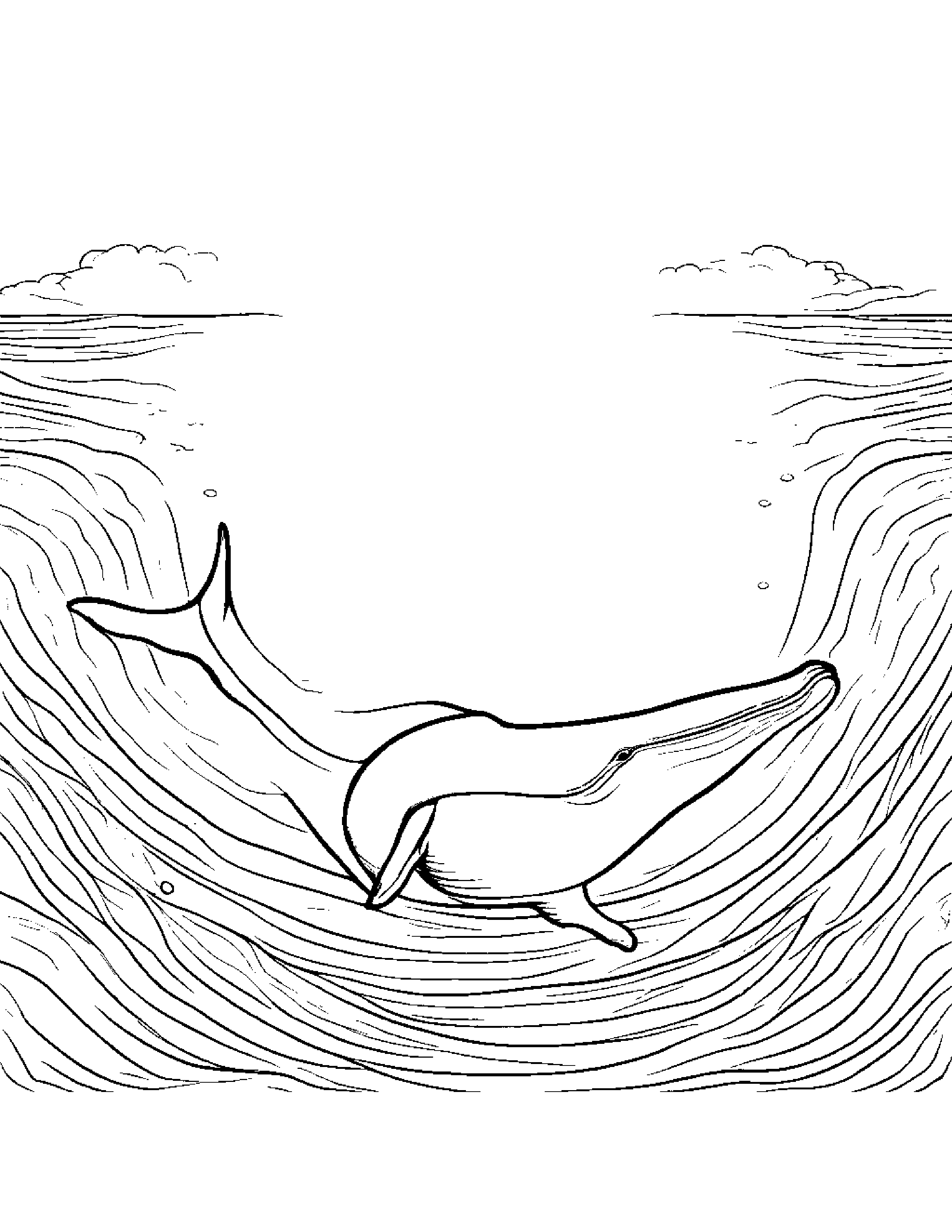Kind Whale Calf Counting #4 Coloring Page (Free Printable PDF)
