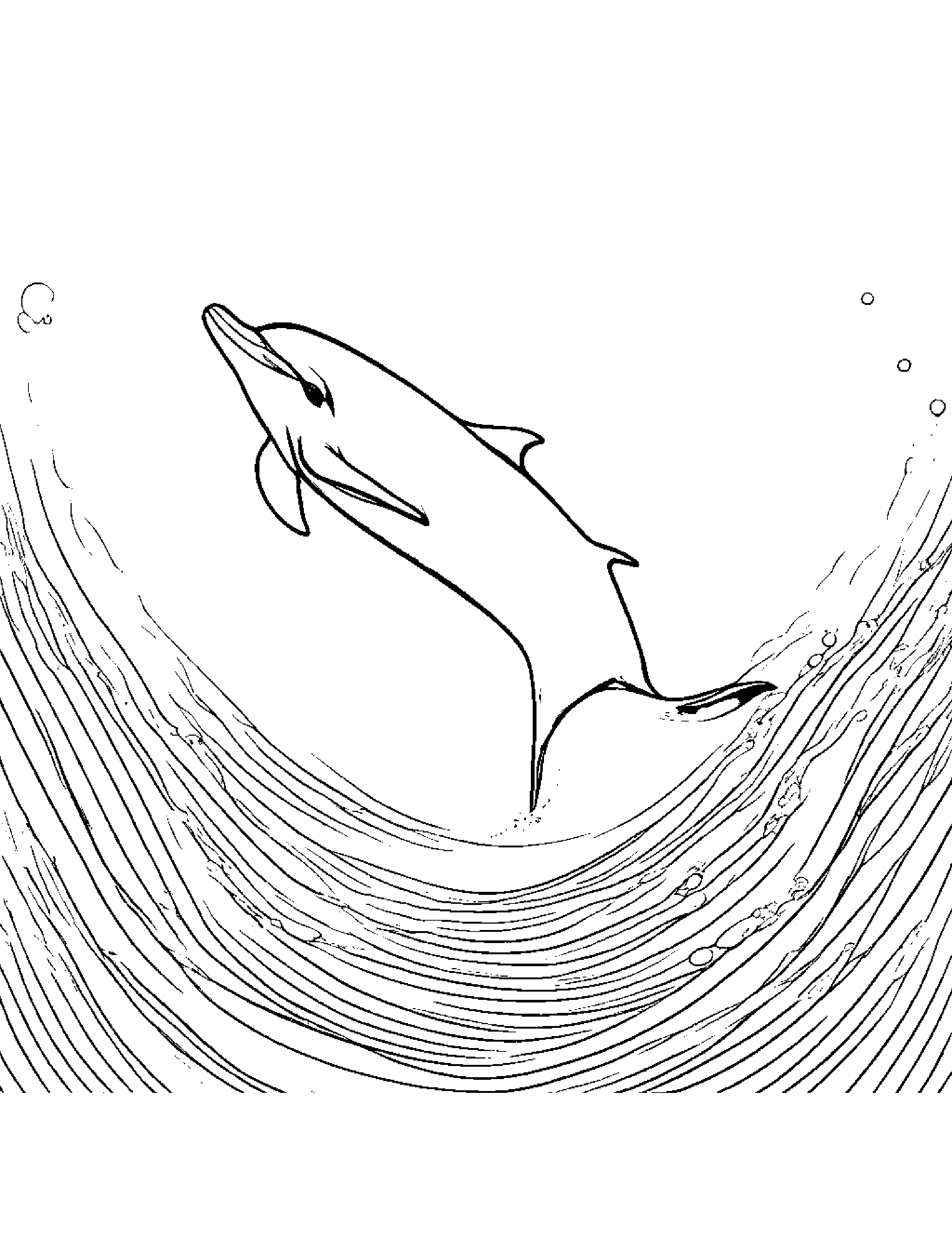 Playful Dolphin Calf #3 Coloring Page (Free Printable PDF)