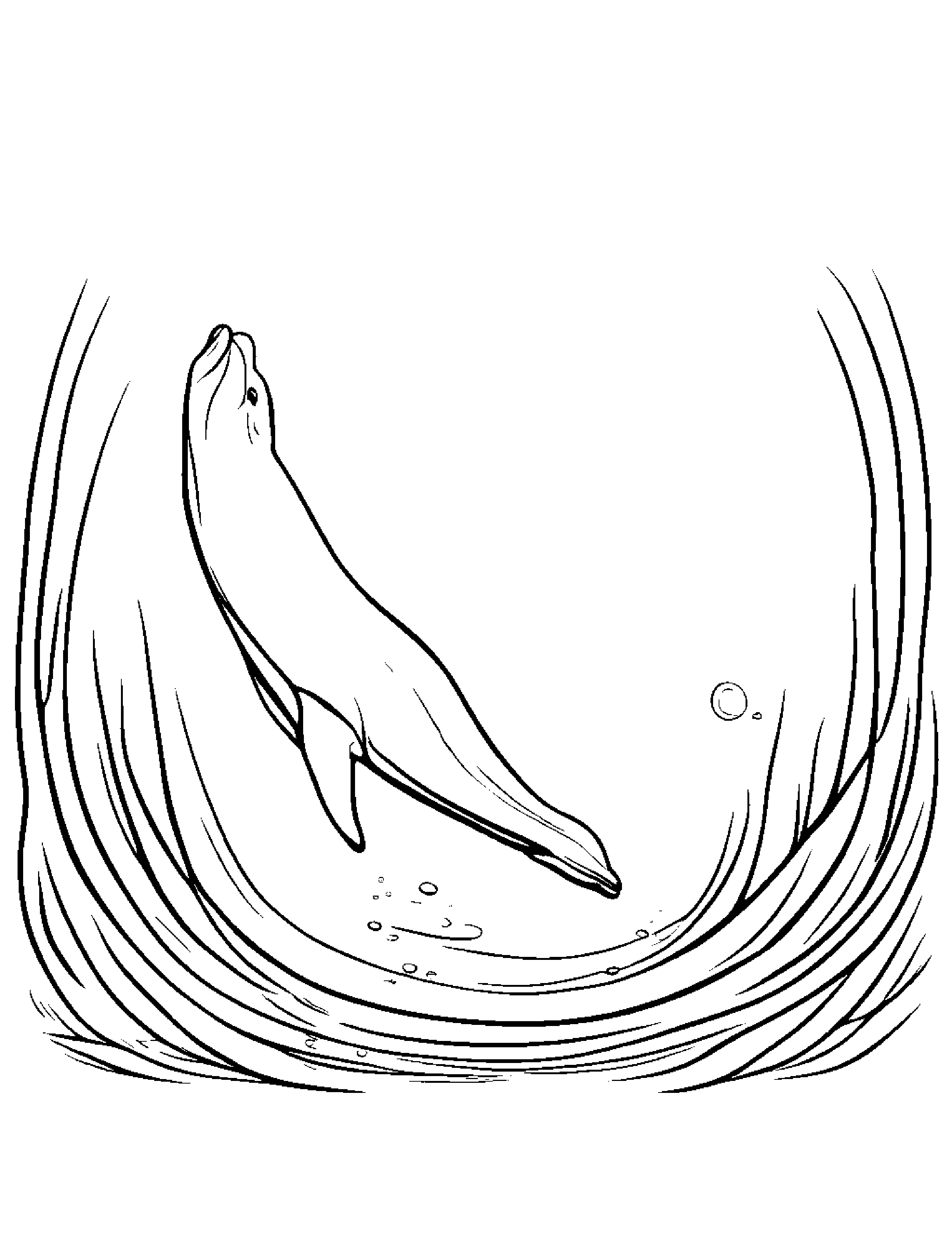 Playful Dolphin Calf Coloring Page (Free Printable PDF)