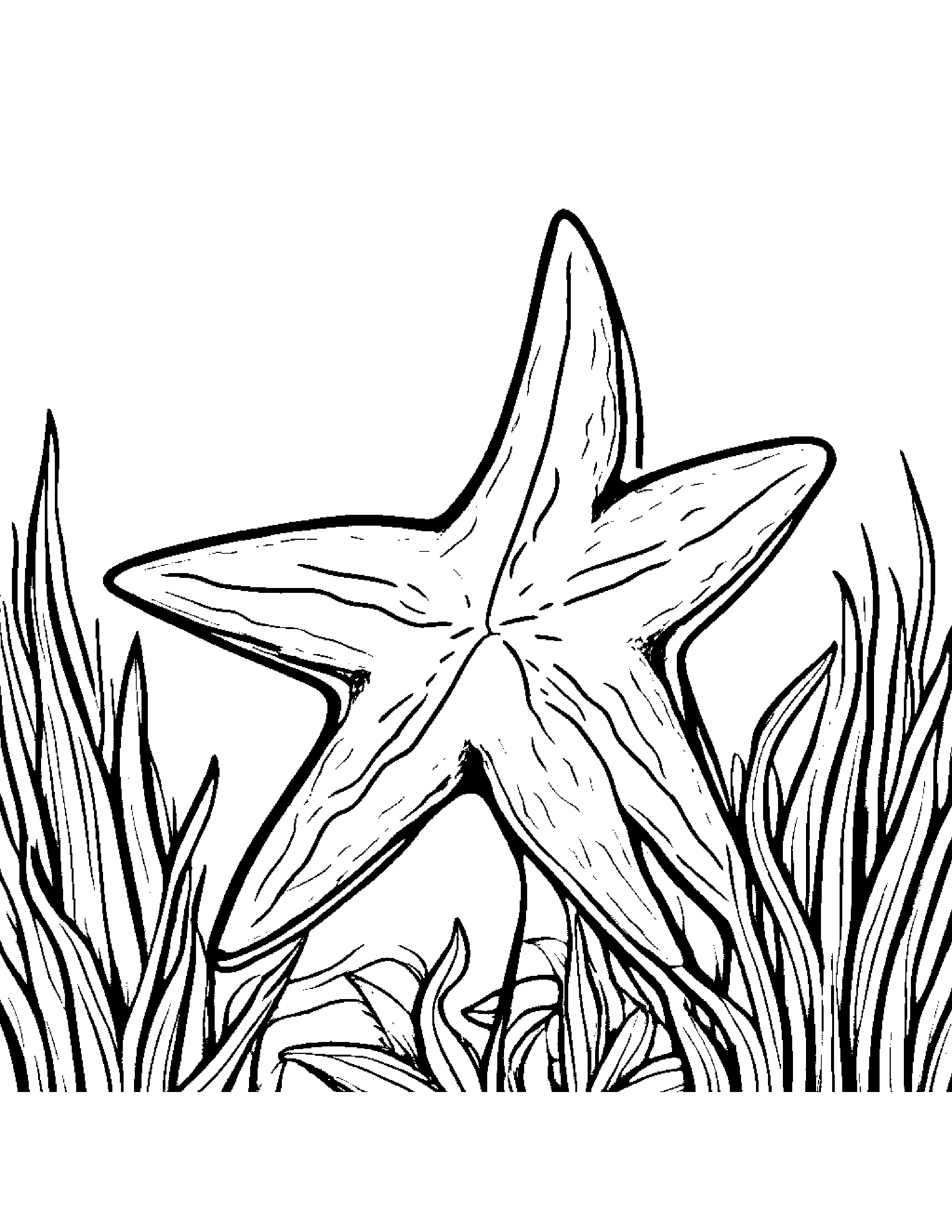 Quiet Starfish Planting A Seed #3 Coloring Page (Free Printable PDF)