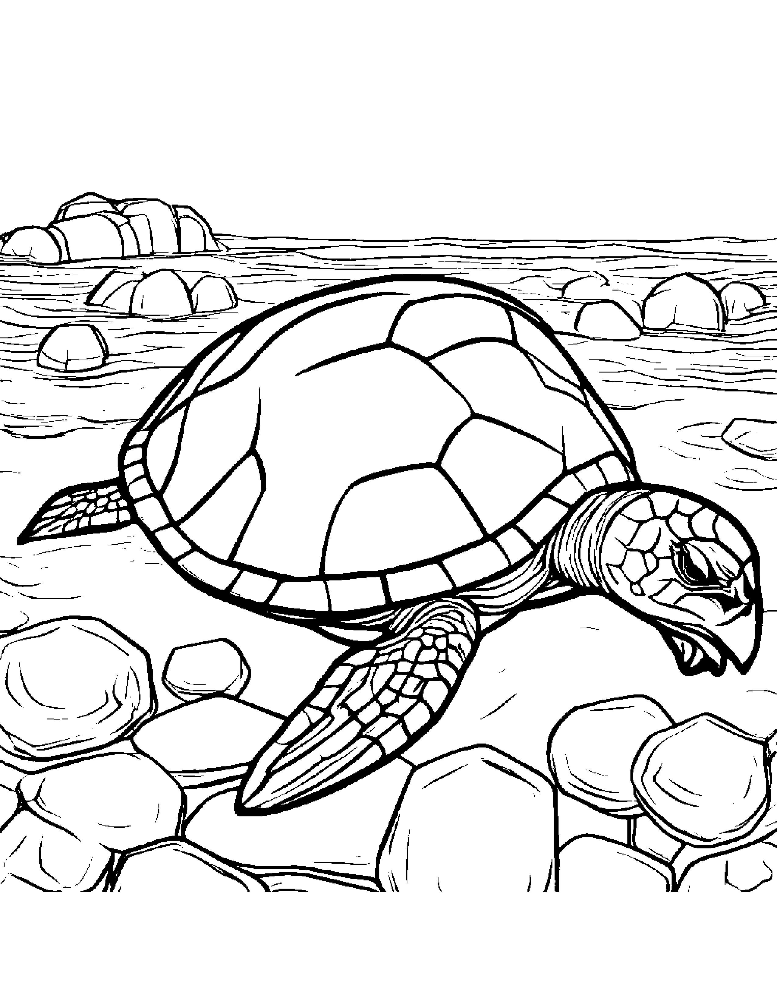 Sea Turtle Stacking Blocks #5 Coloring Page (Free Printable PDF)