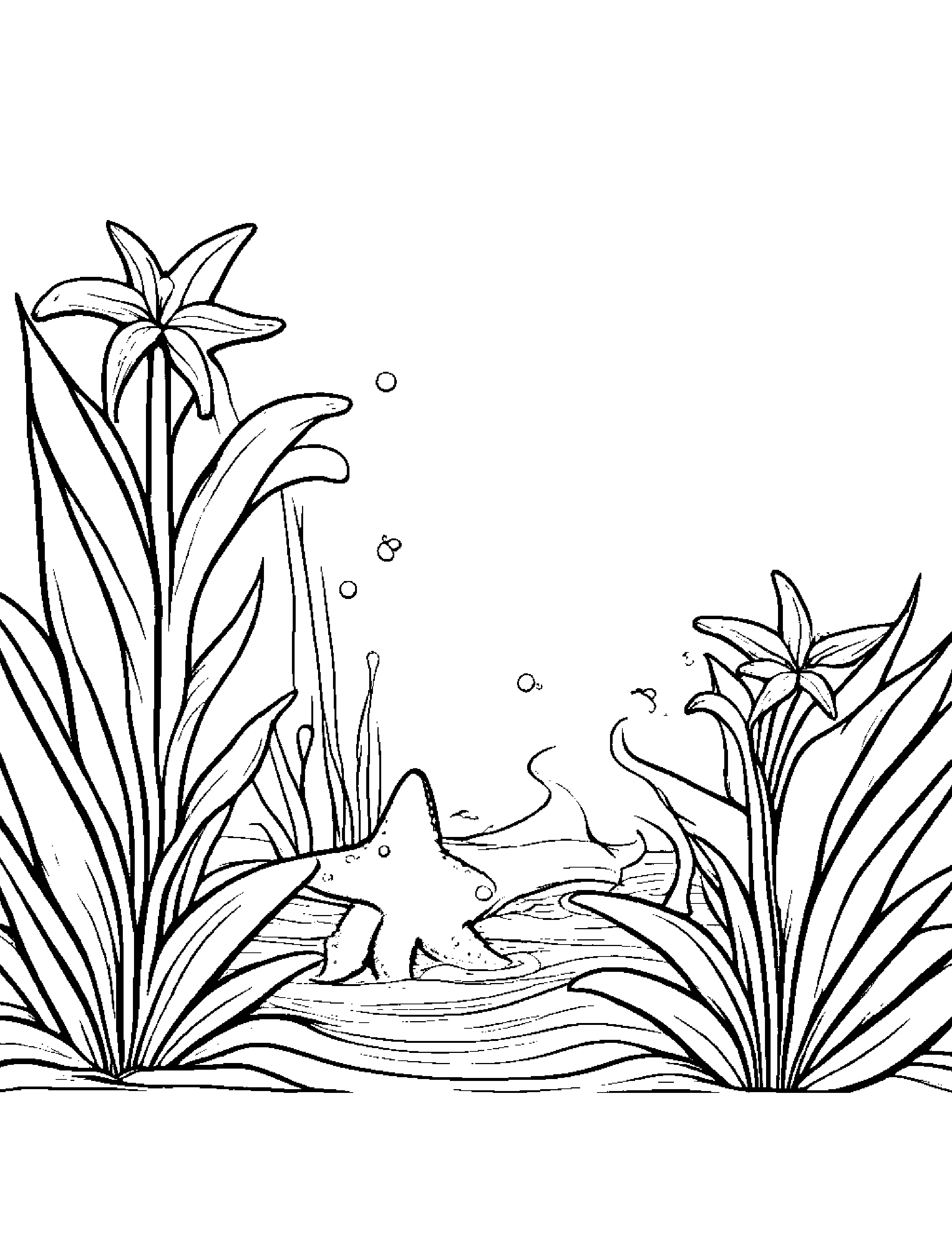 Starfish Watering A Plant #2 Coloring Page (Free Printable PDF)
