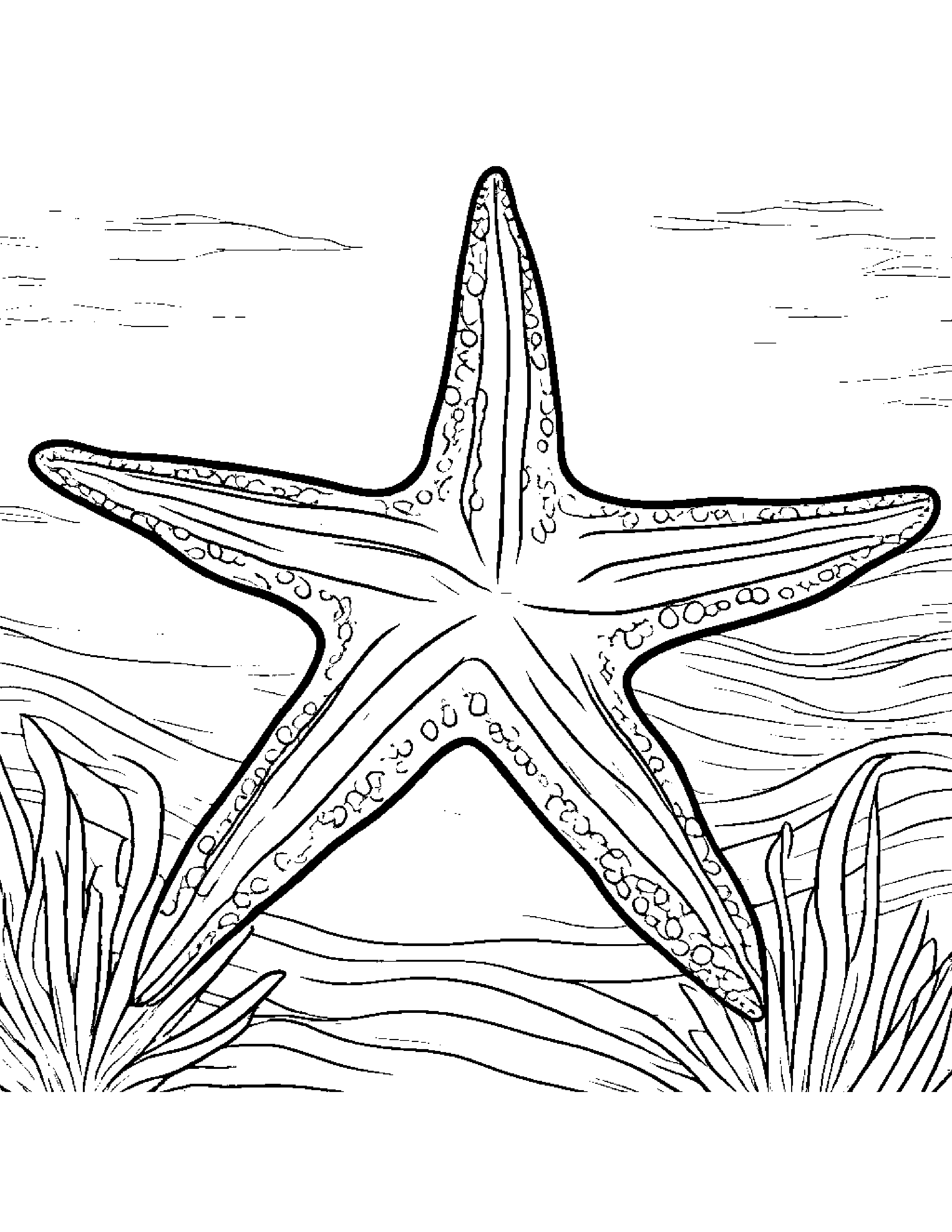 Starfish With A Soft Scarf #2 Coloring Page (Free Printable PDF)