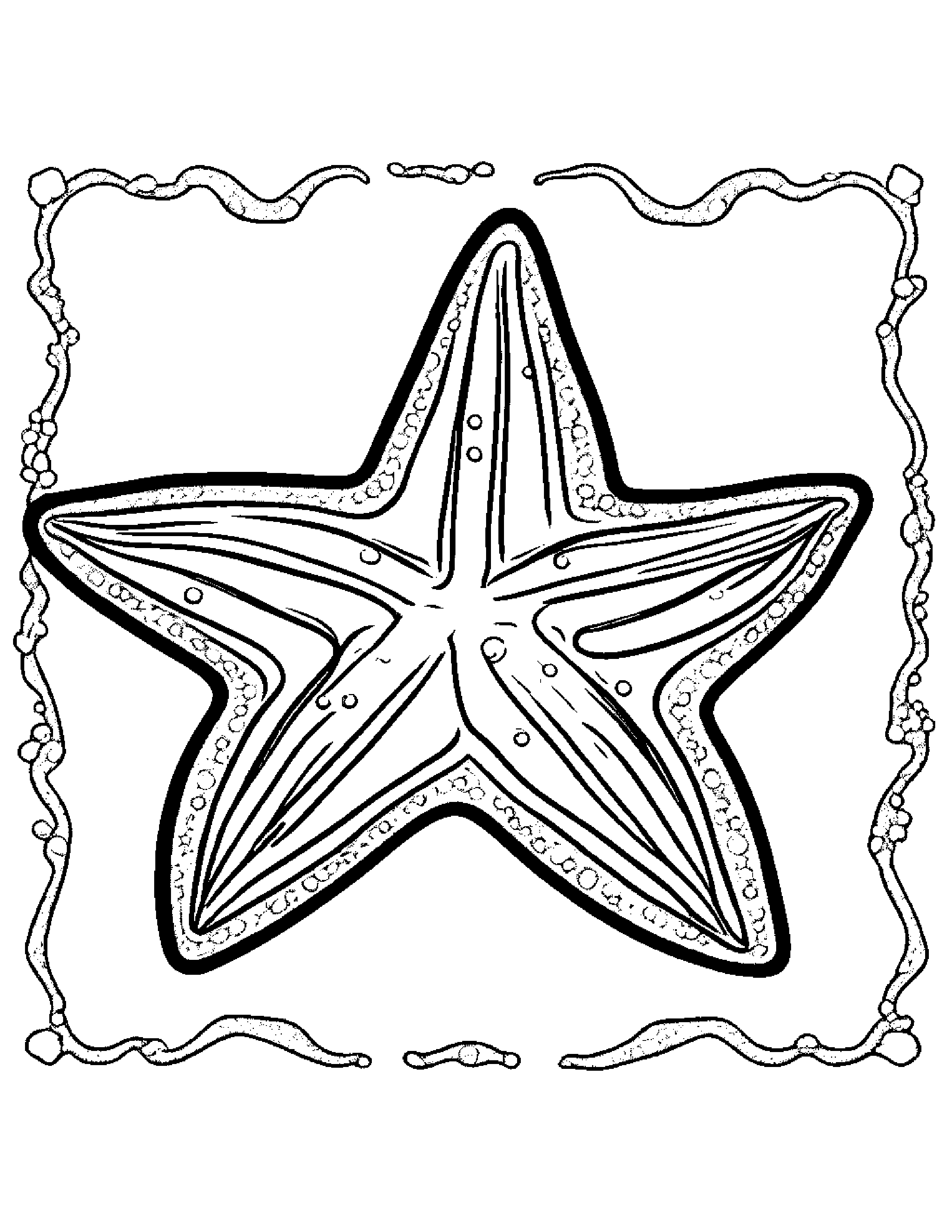 Starfish With Sparkles #2 Coloring Page (Free Printable PDF)