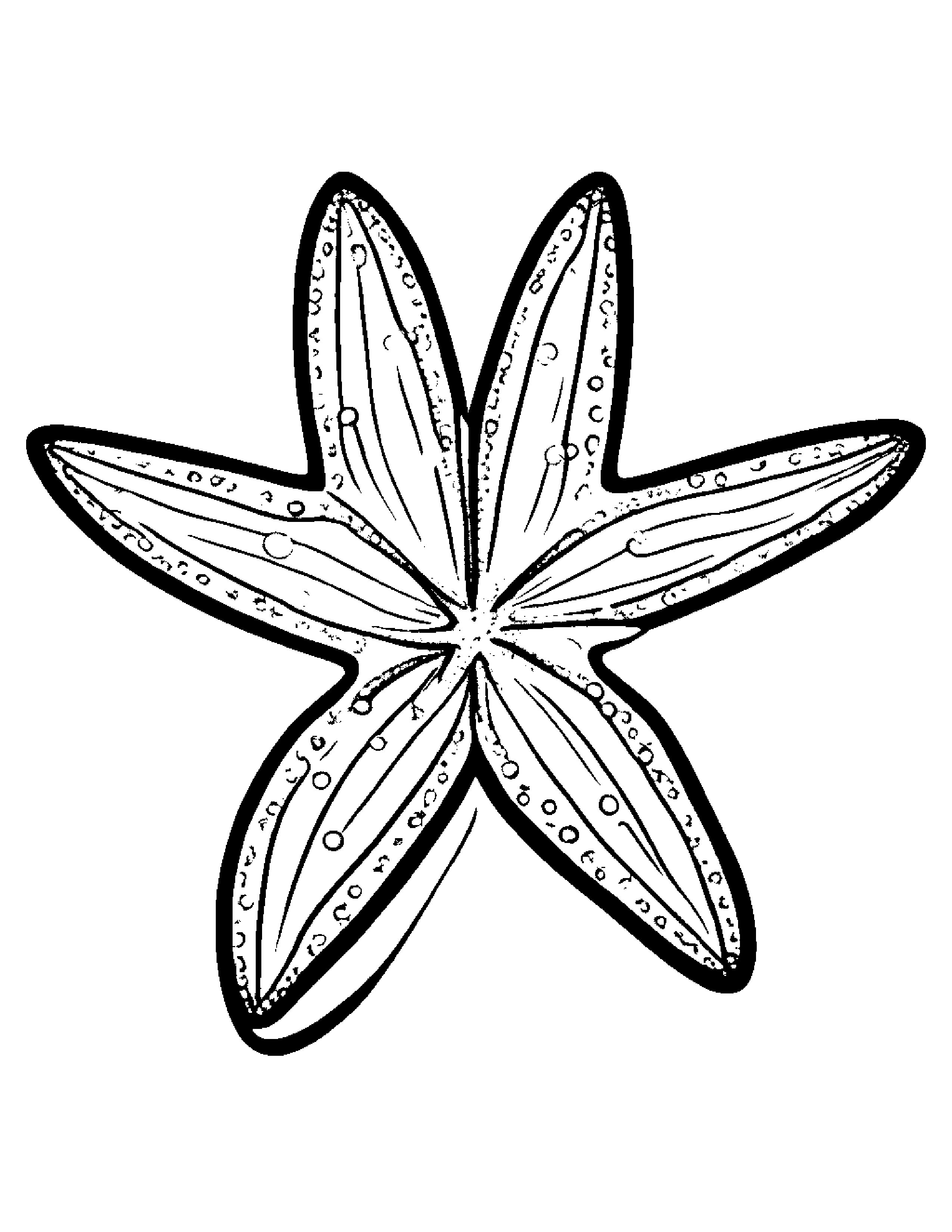 Starfish With Sparkles #3 Coloring Page (Free Printable PDF)
