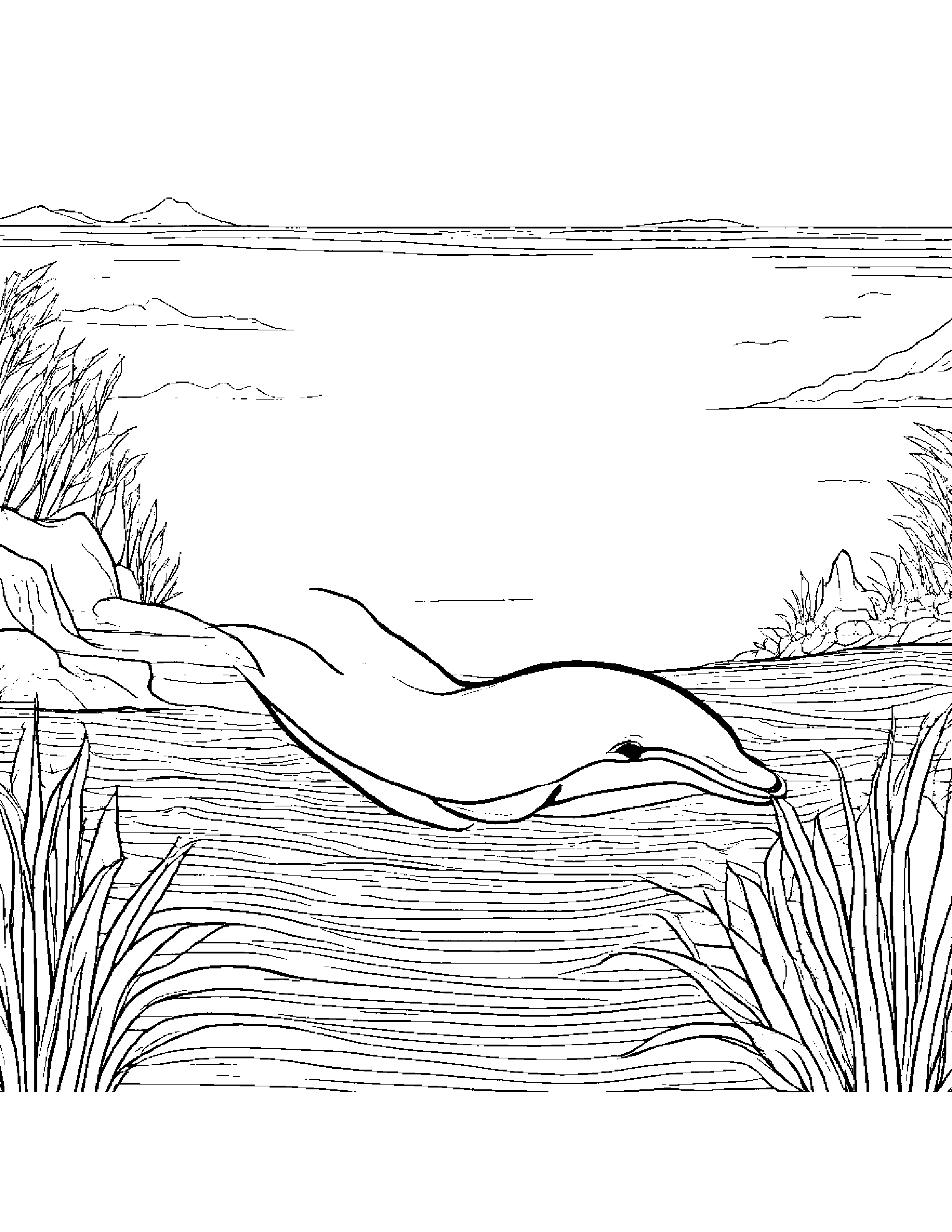 Sunny Dolphin Calf Near A Gentle Stream Coloring Page (Free Printable PDF)