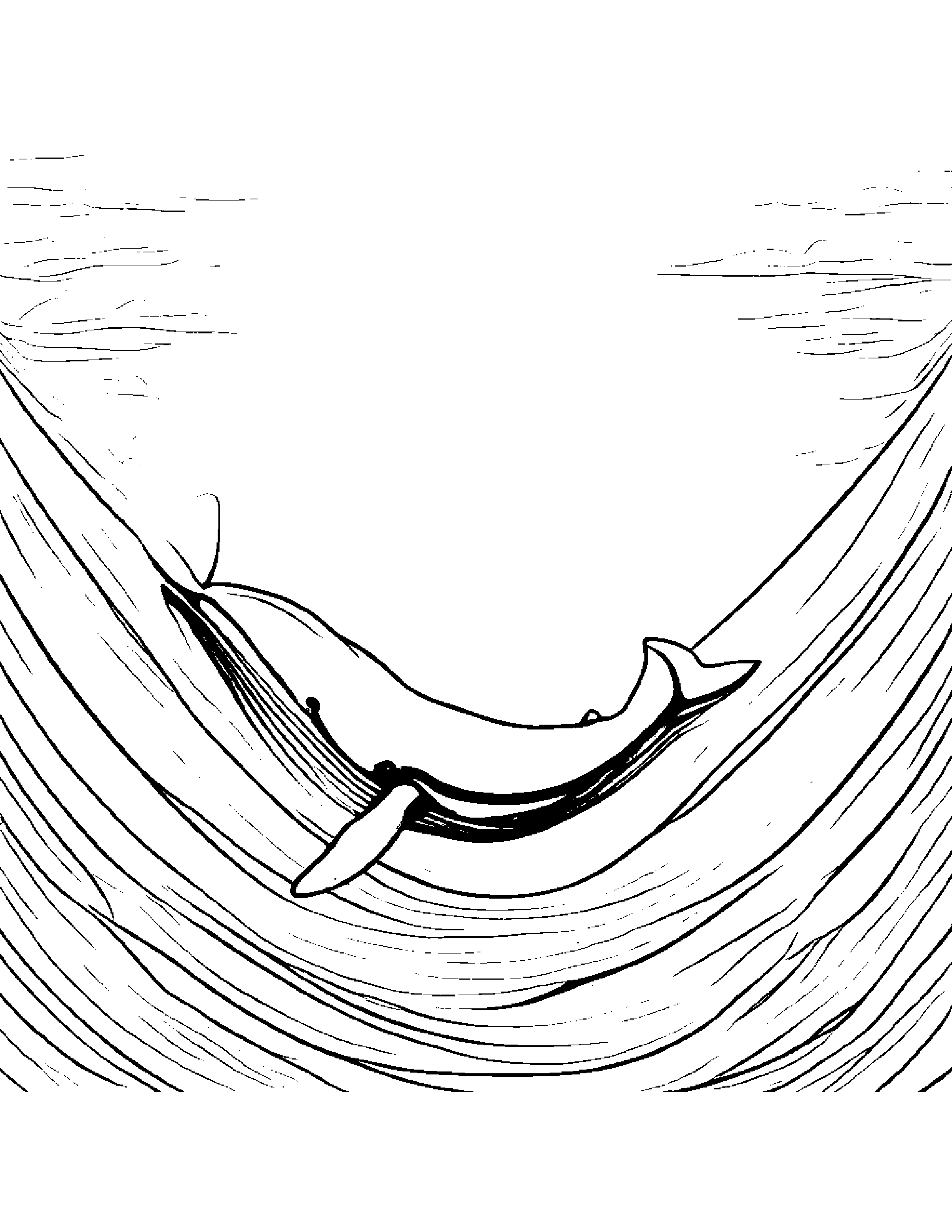 Whale Calf Playing Peekaboo #4 Coloring Page (Free Printable PDF)