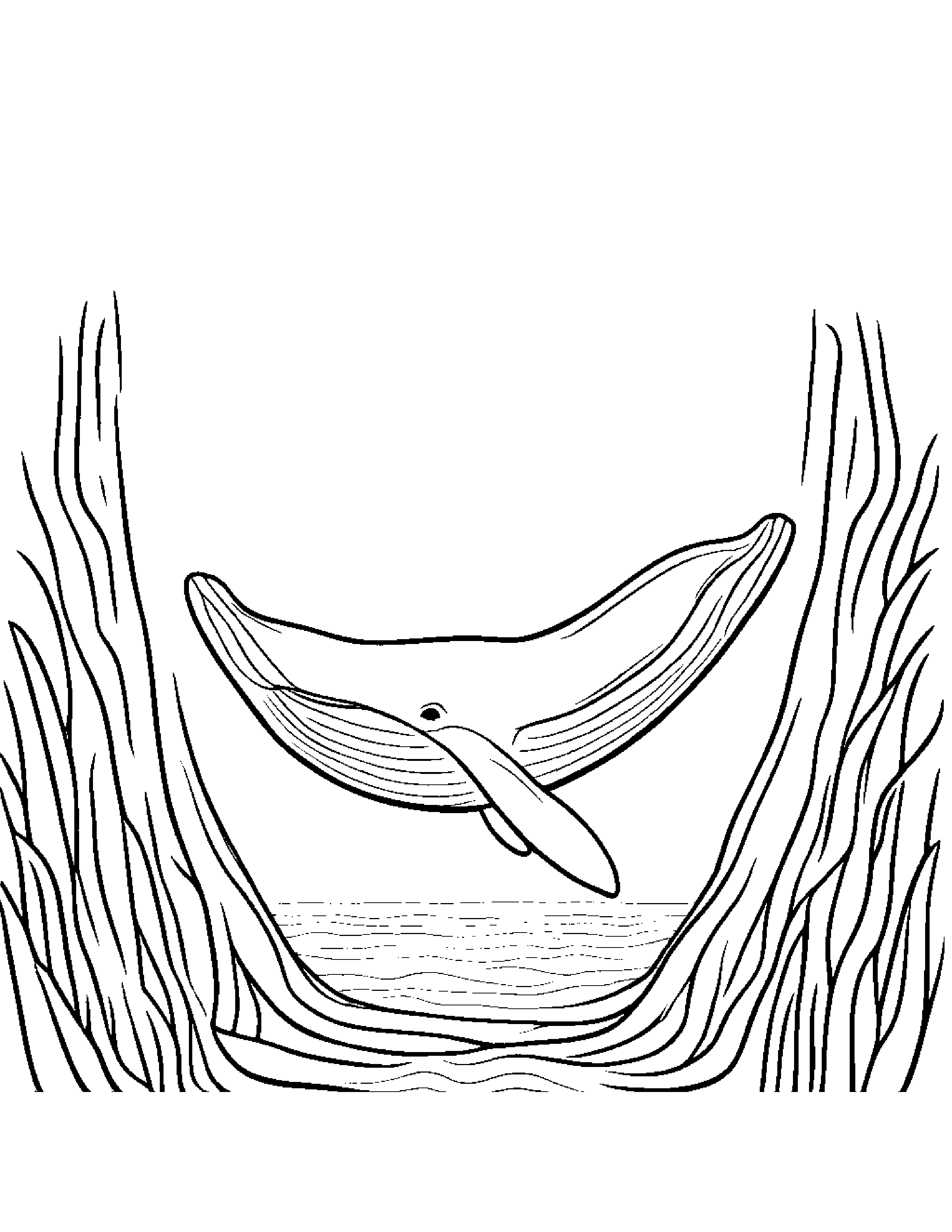 Whale Calf Playing Peekaboo Coloring Page (Free Printable PDF)
