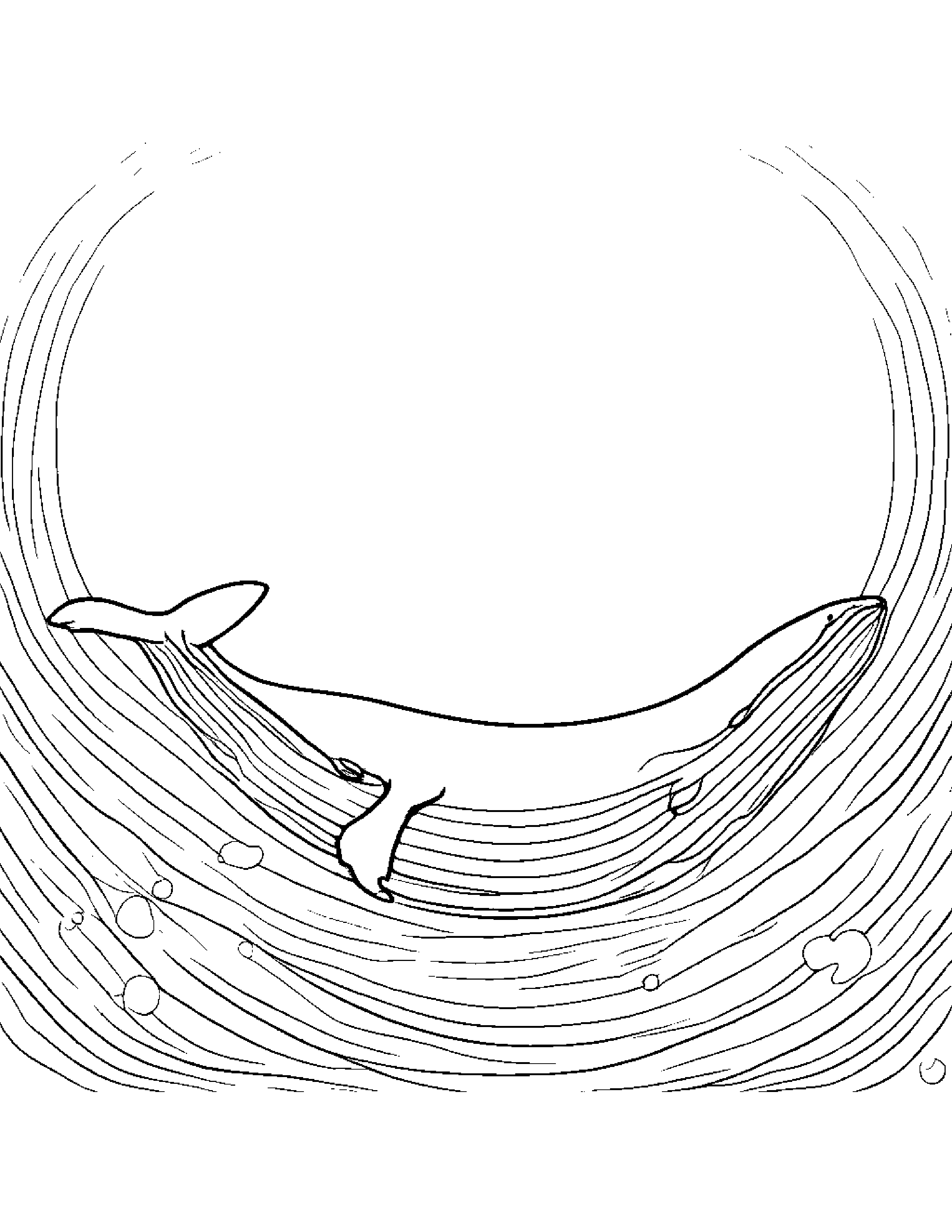 Whale Calf With A Little Heart #5 Coloring Page (Free Printable PDF)
