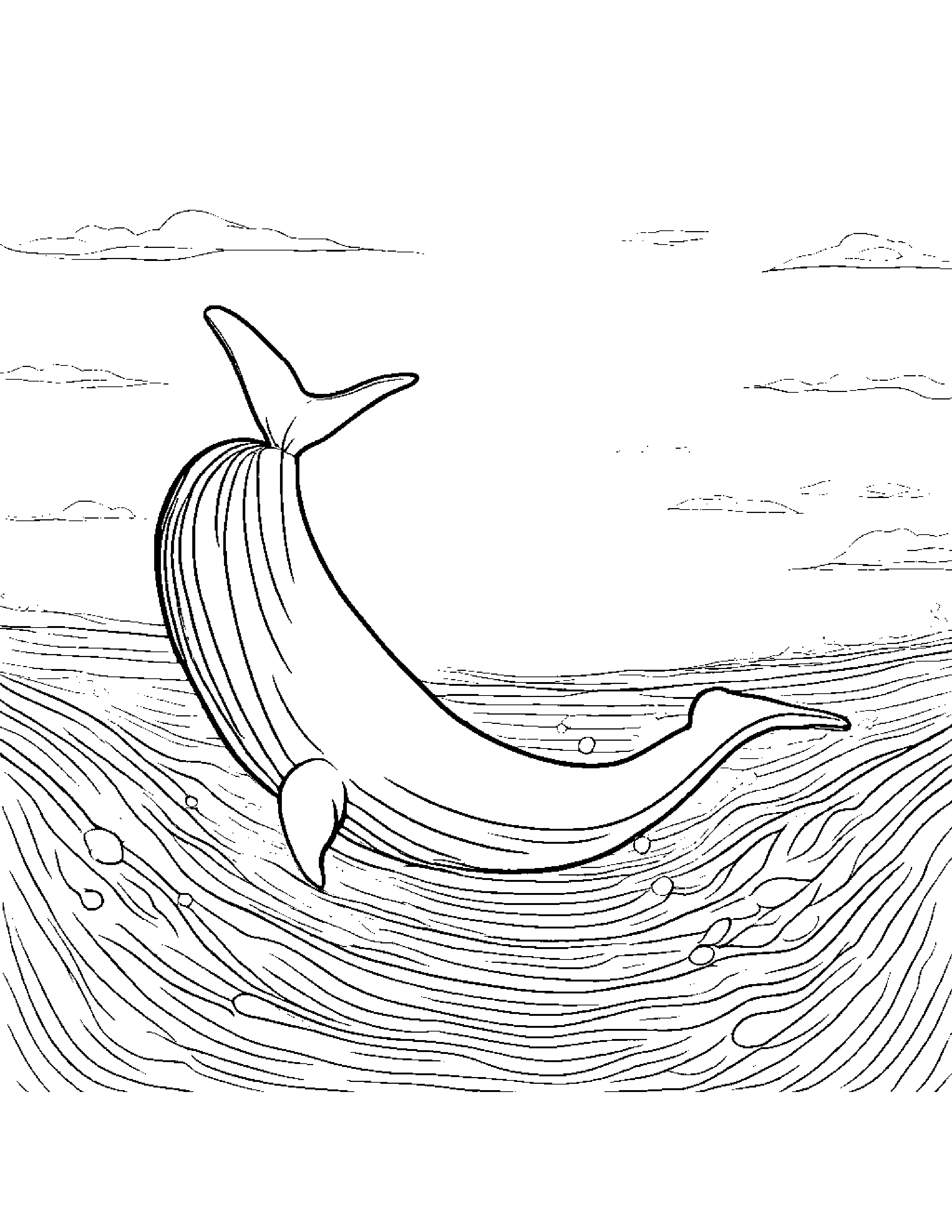 Whale Calf With A Little Heart Coloring Page (Free Printable PDF)